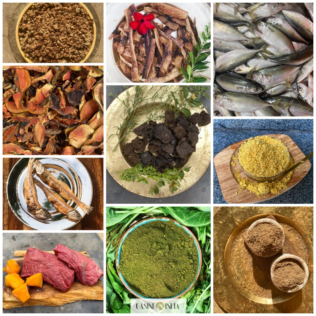 Dealing with Kidney Issues in Dogs & Cats