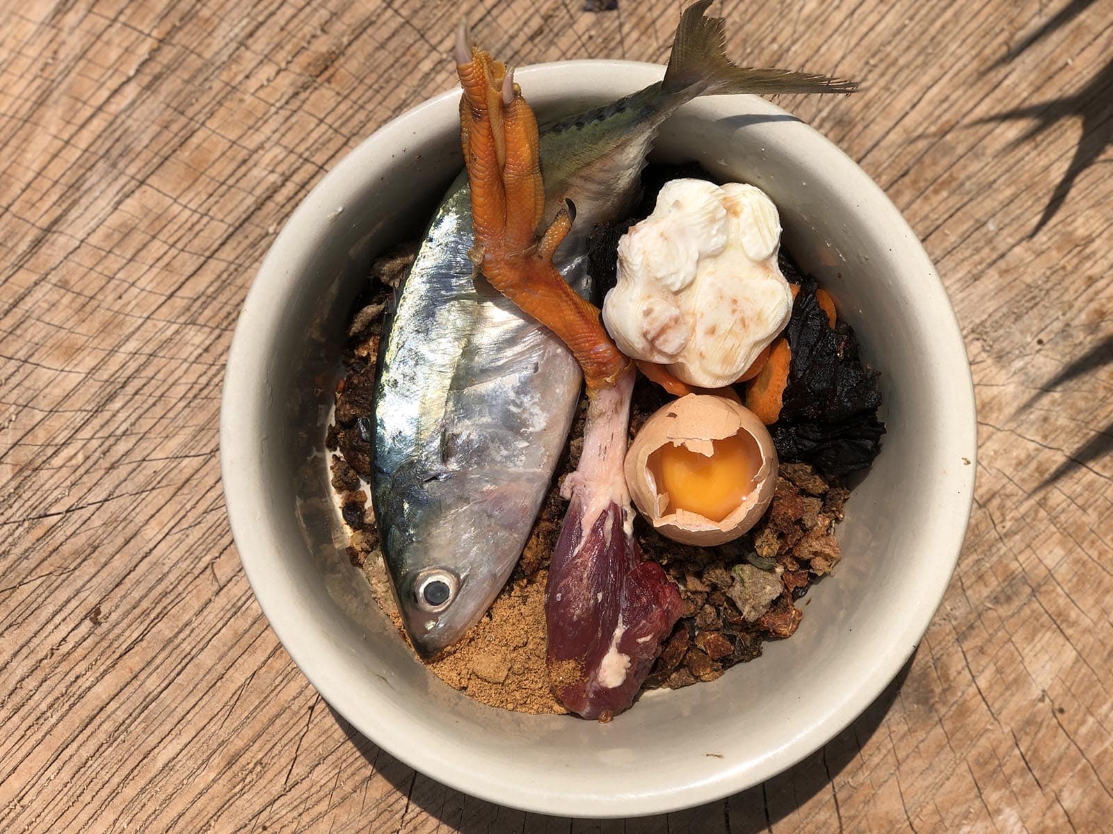 Easy hacks to make a kibble diet more wholesome!