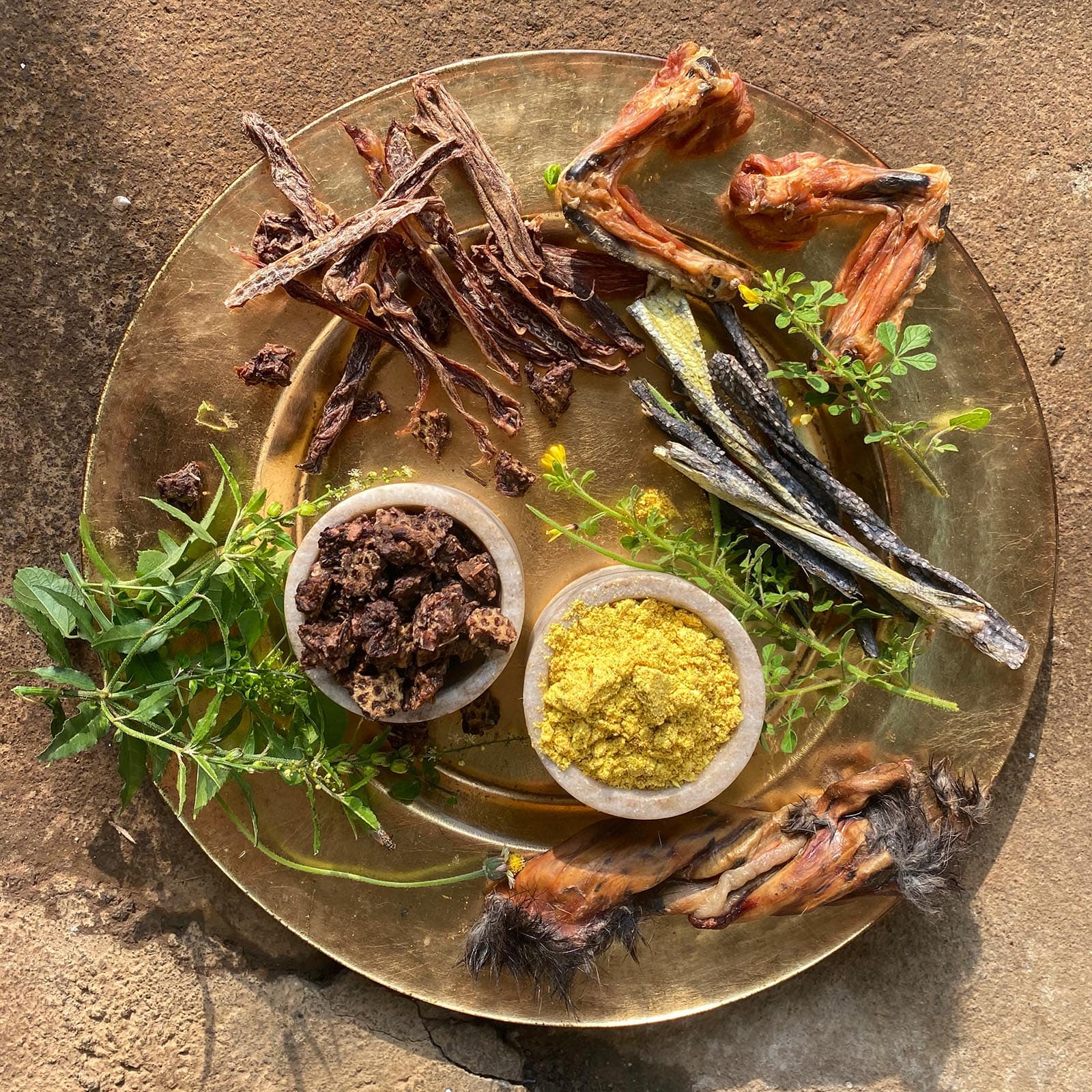 Food Sensitivities & the Microbiome