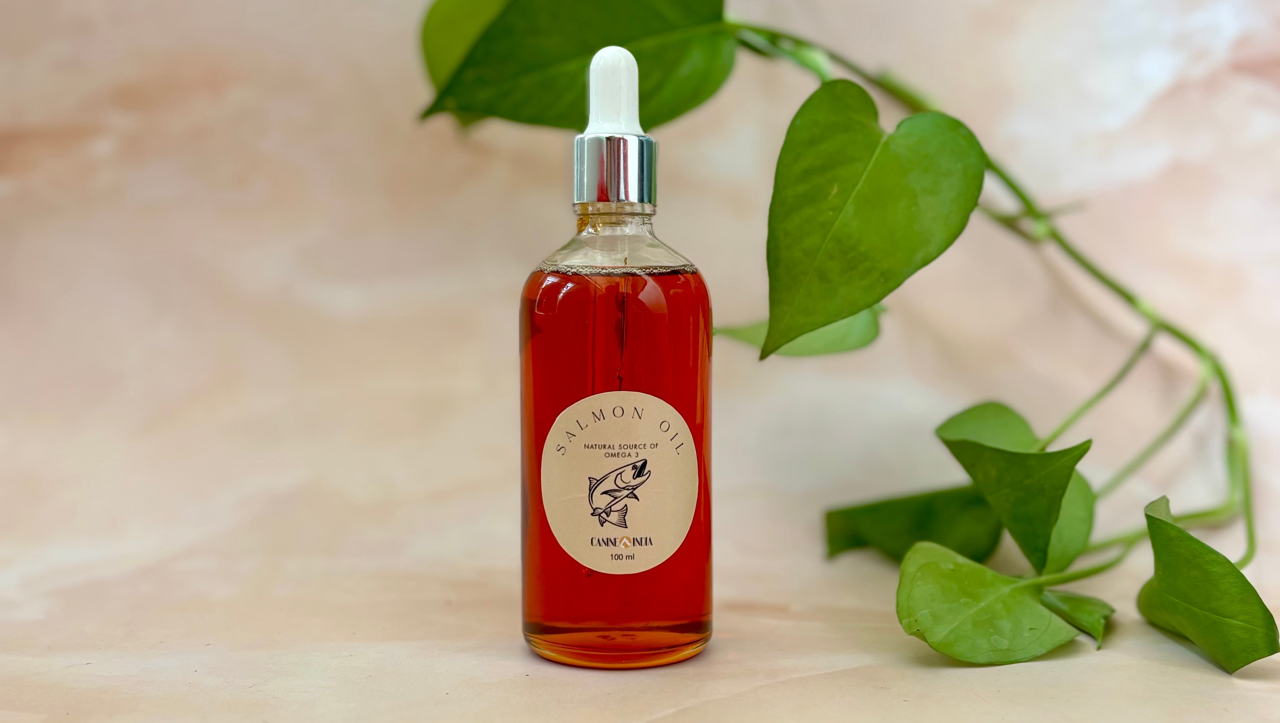 The truth about oxidation in pet food