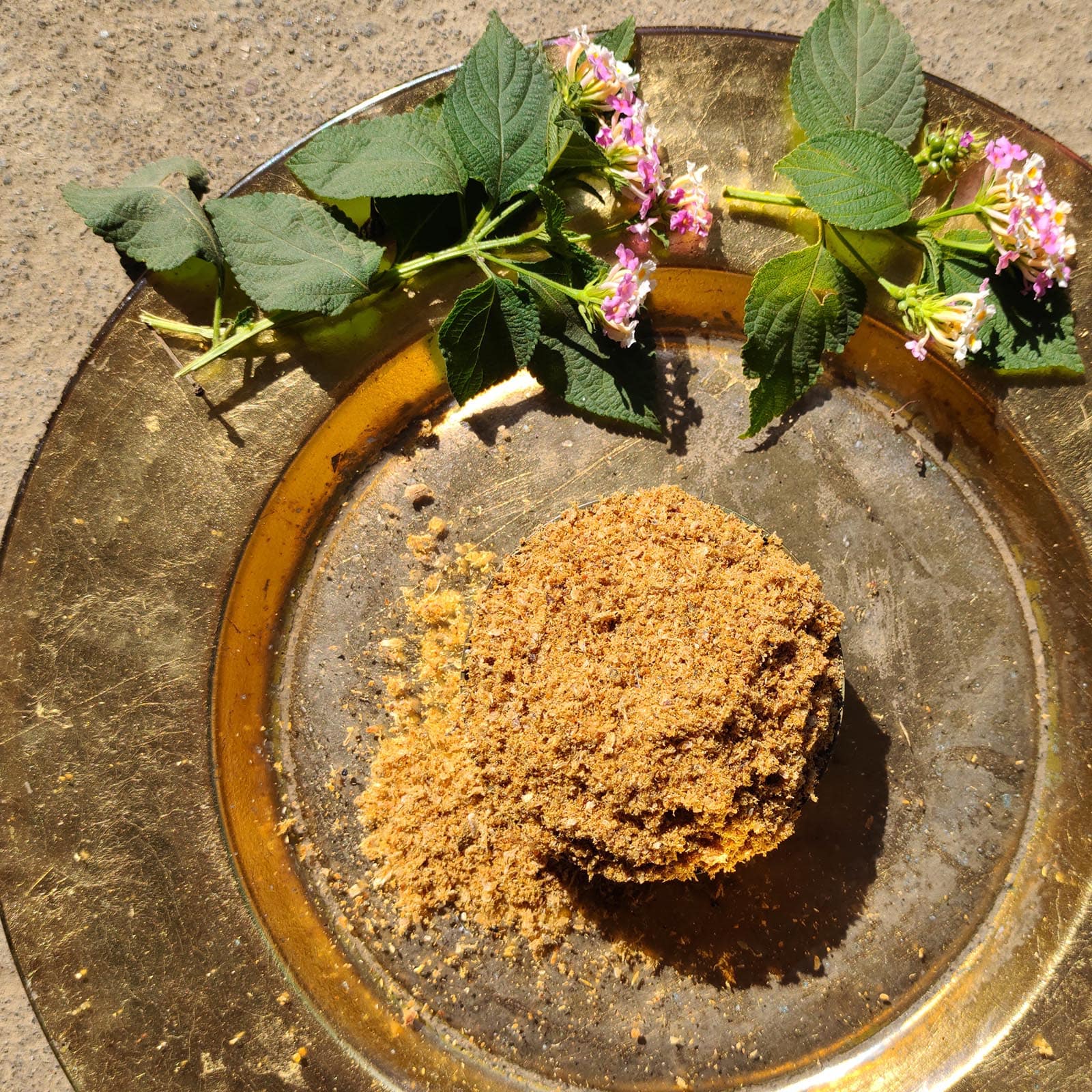 The Truth about Probiotics!