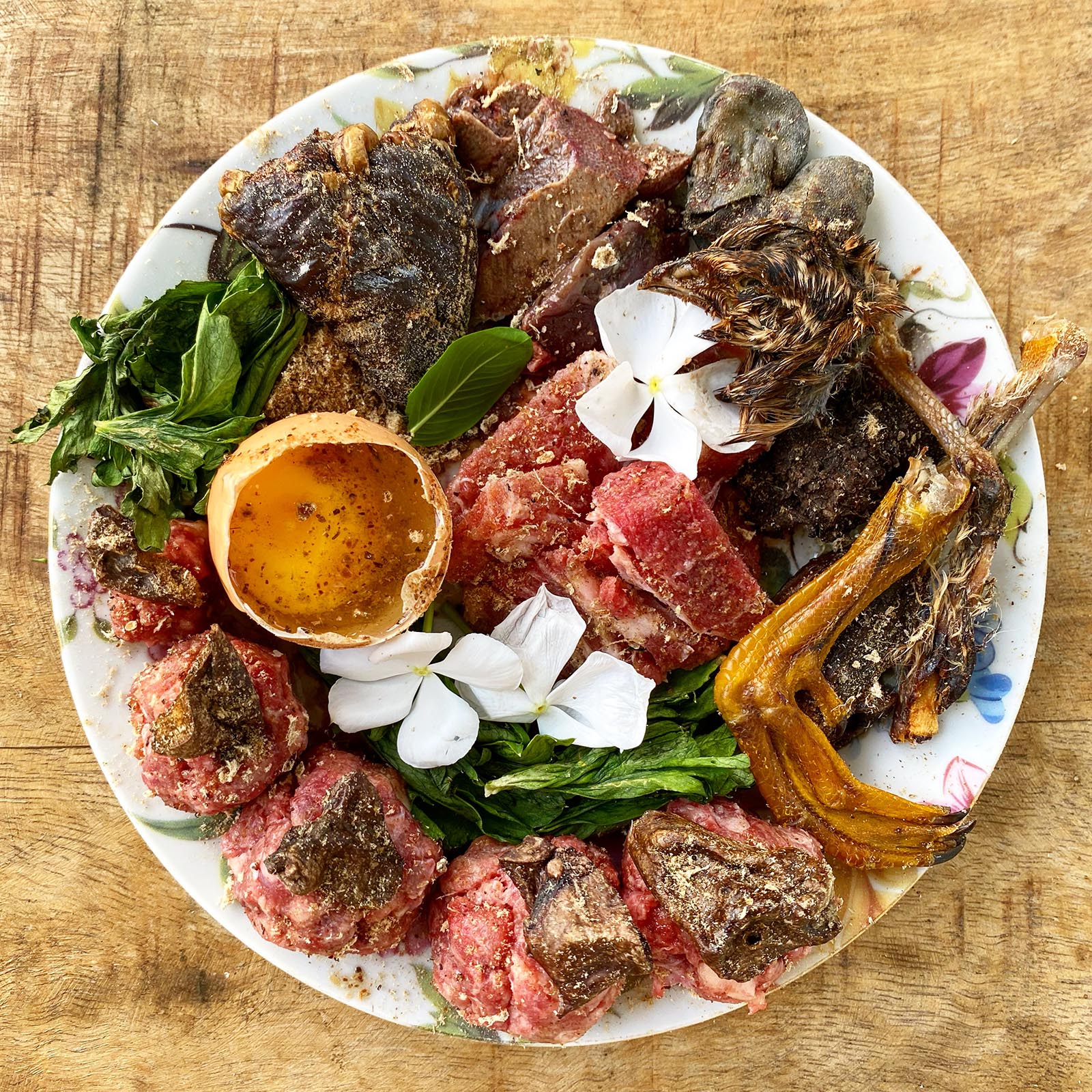 What Does Variety Mean For Your Pets Bowl Canine India what-does-variety-mean-for-your-pets-bowl-canine-india