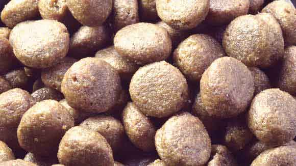 What’s the deal with processed Pet food?