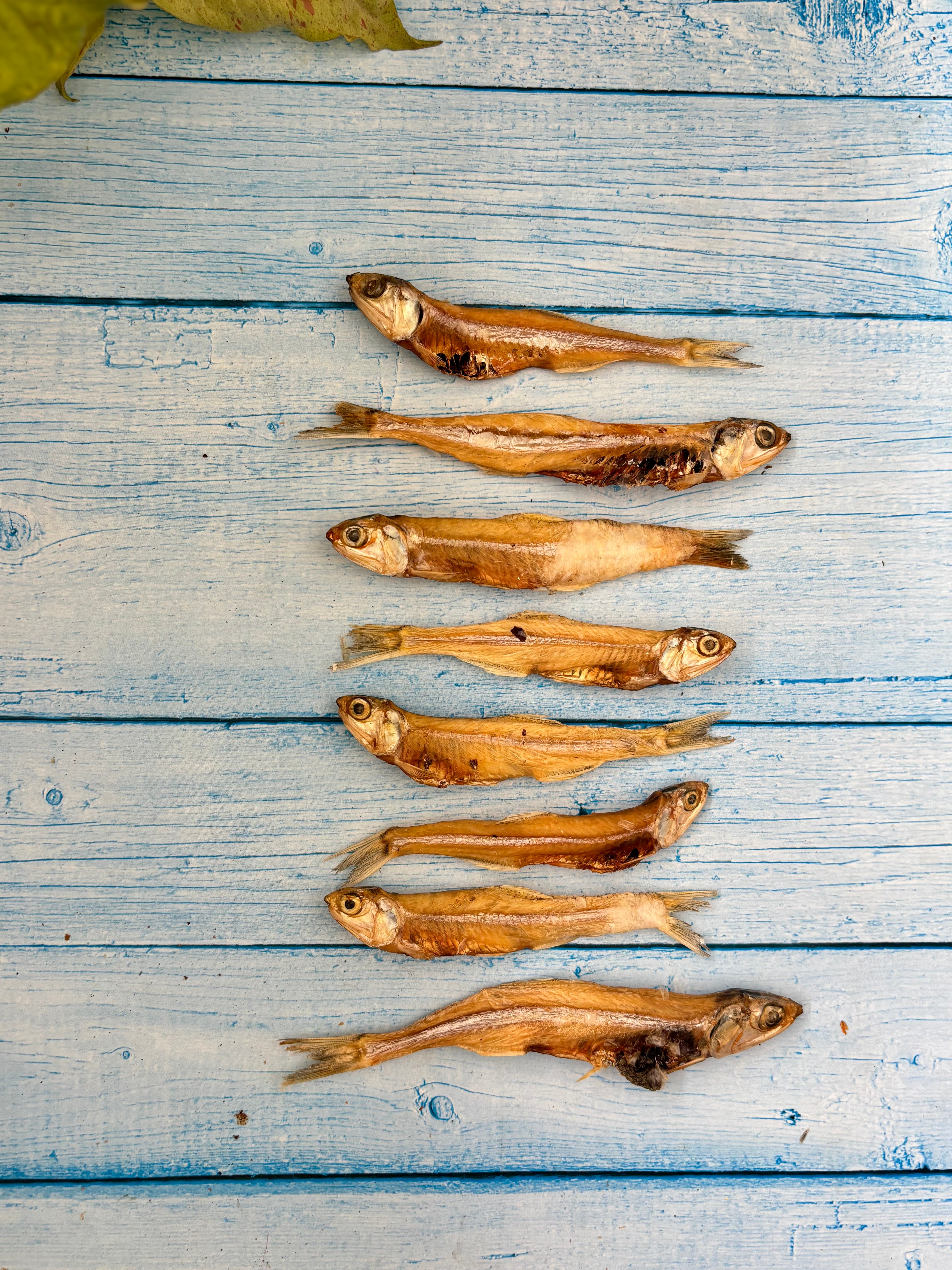 Whole Anchovy