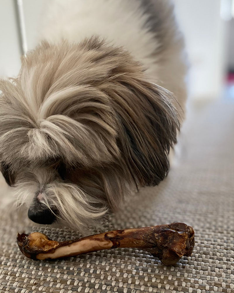 Lamb Shank - Goat Chewbone
