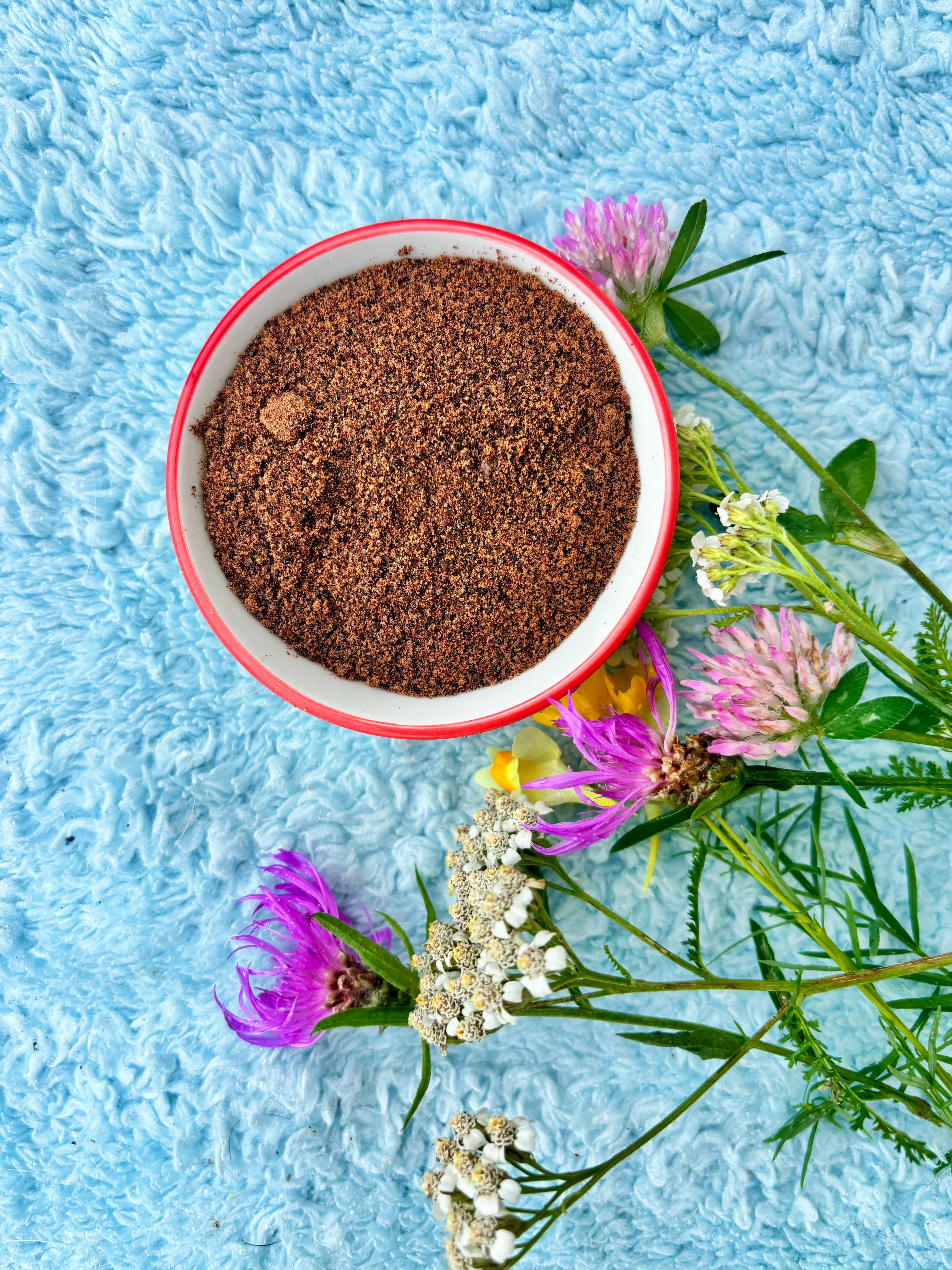Chicken Organ Blend - Multivitamin Powder
