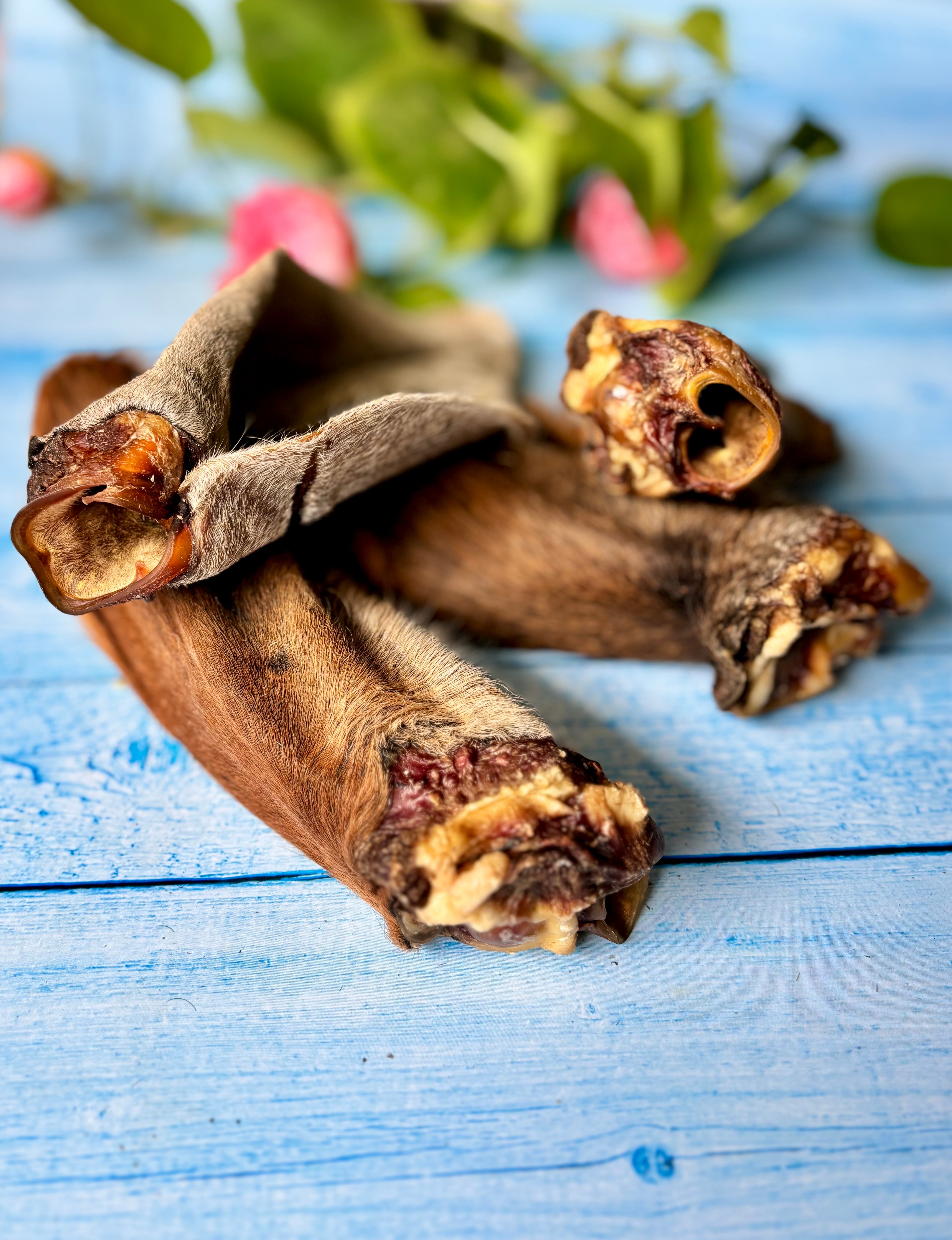 Beef Ears with Cartilage - SPECIAL