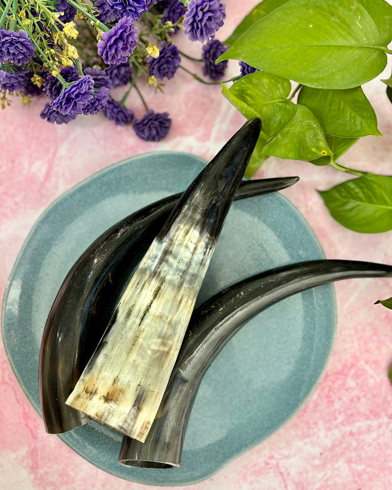 Beef Horn Chew - natural & reusable Toppl / Kong SPECIAL