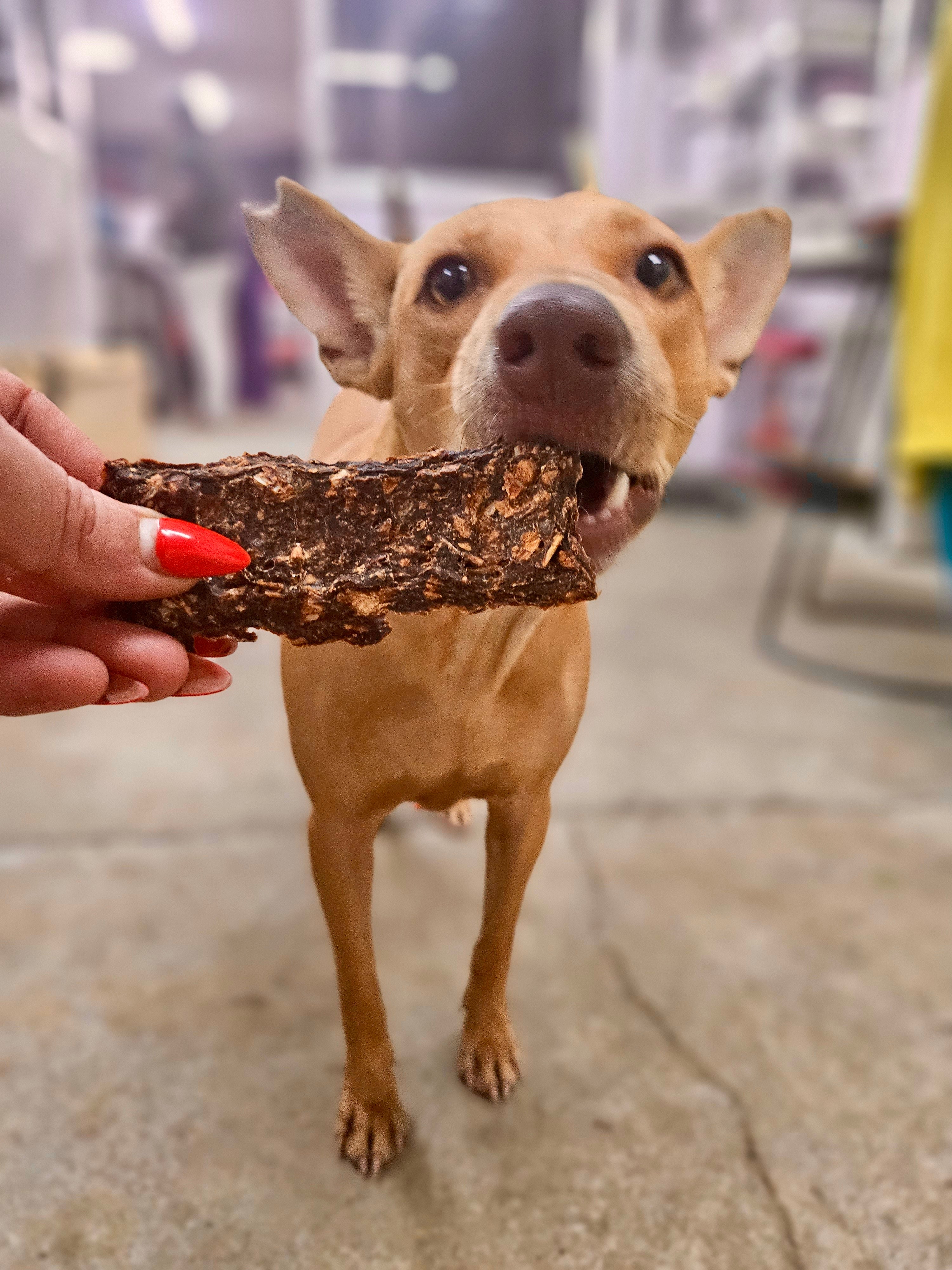 Complete Nutrition Protein Bars - Guinea Fowl