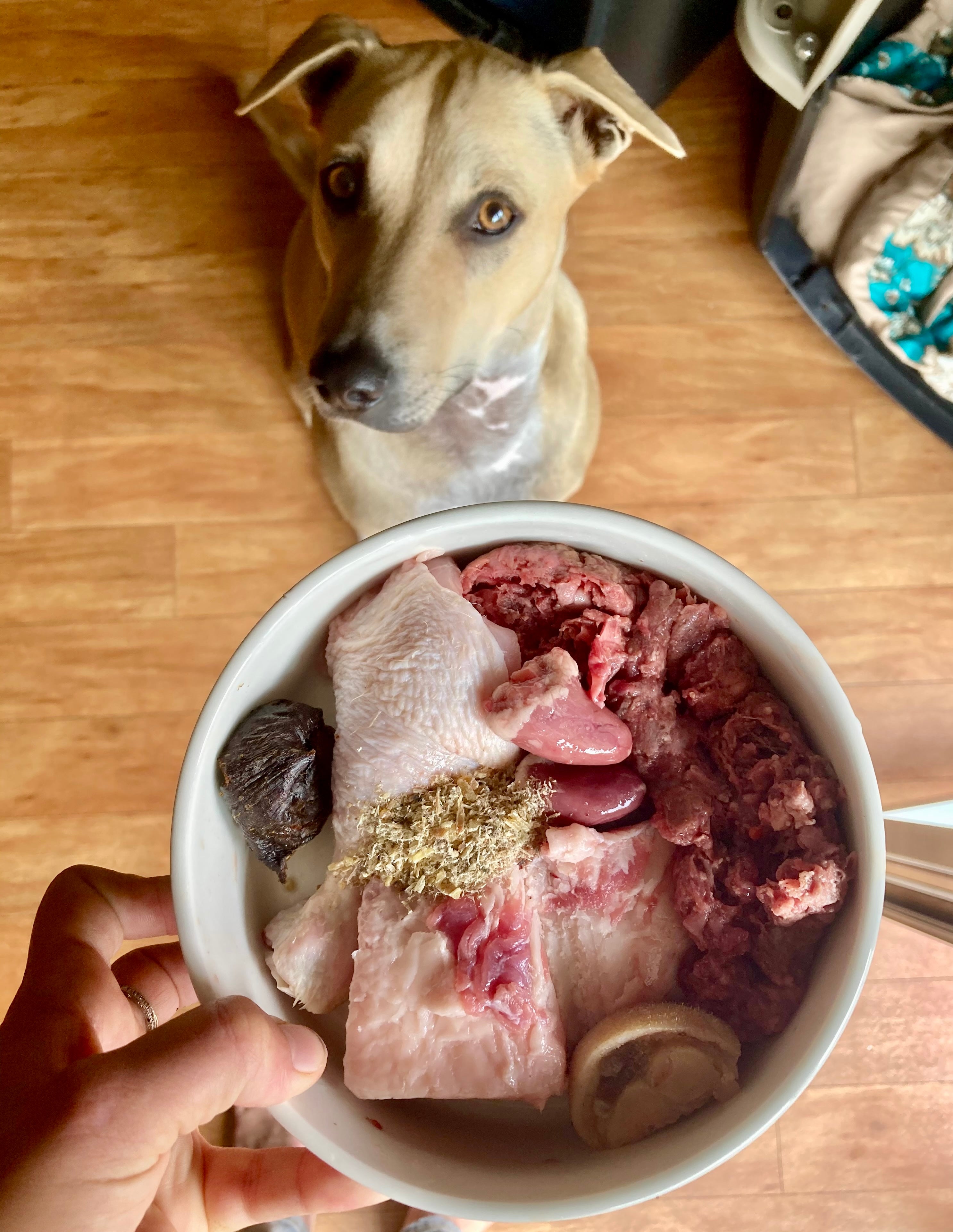 Chicken Organs (Variety)