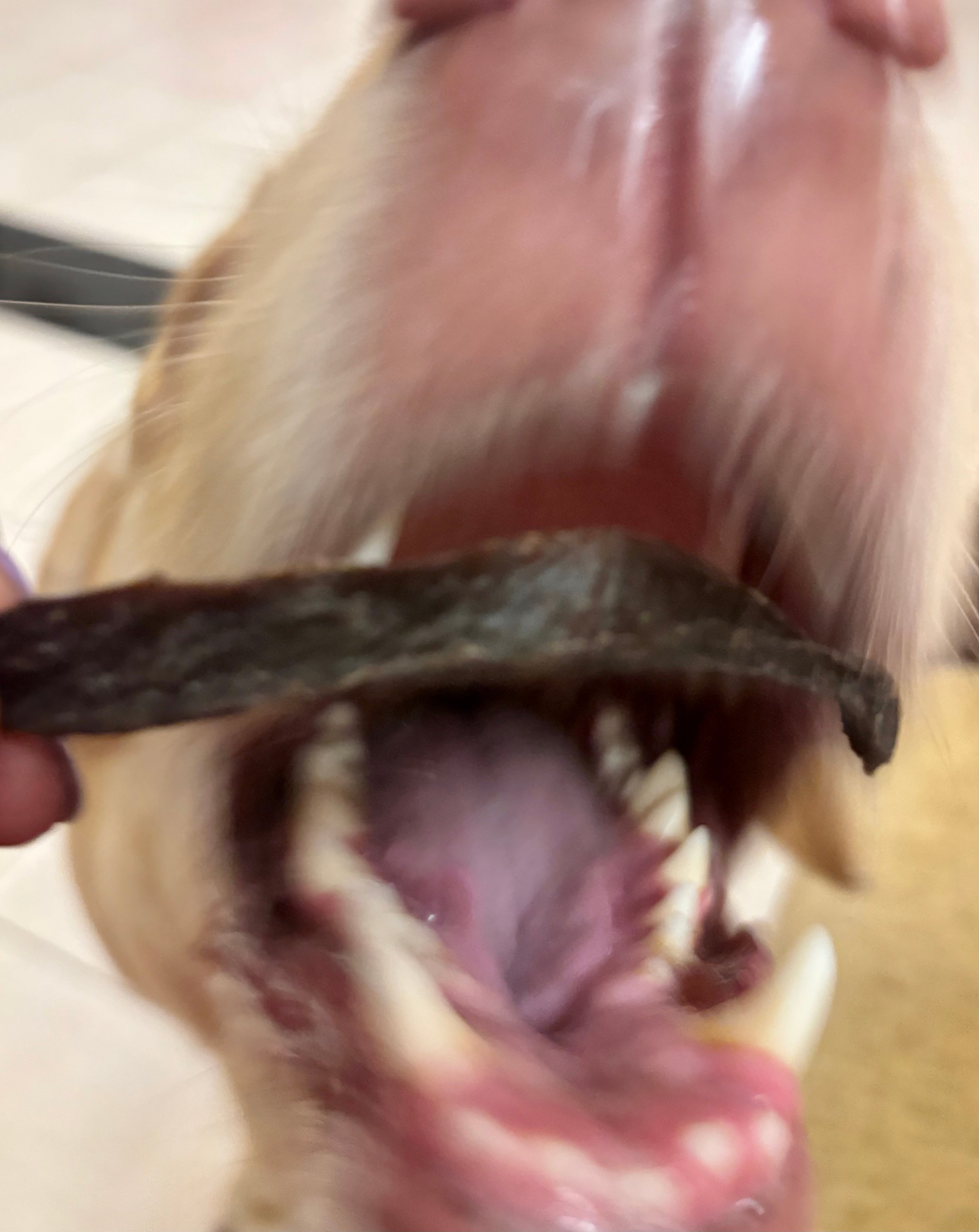 Beef Spleen Strips - SPECIAL