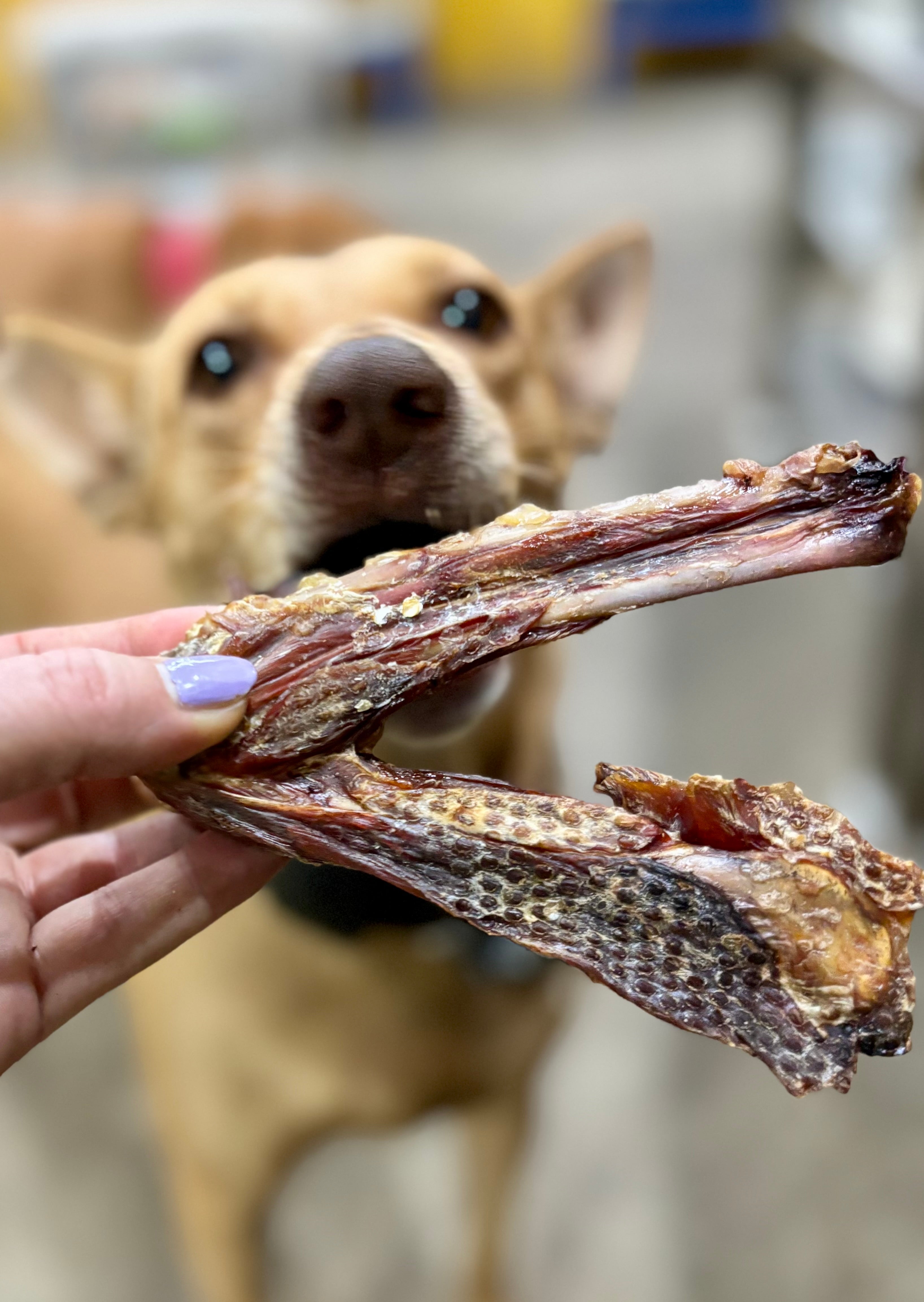 Skinless Turkey Wings - SPECIAL