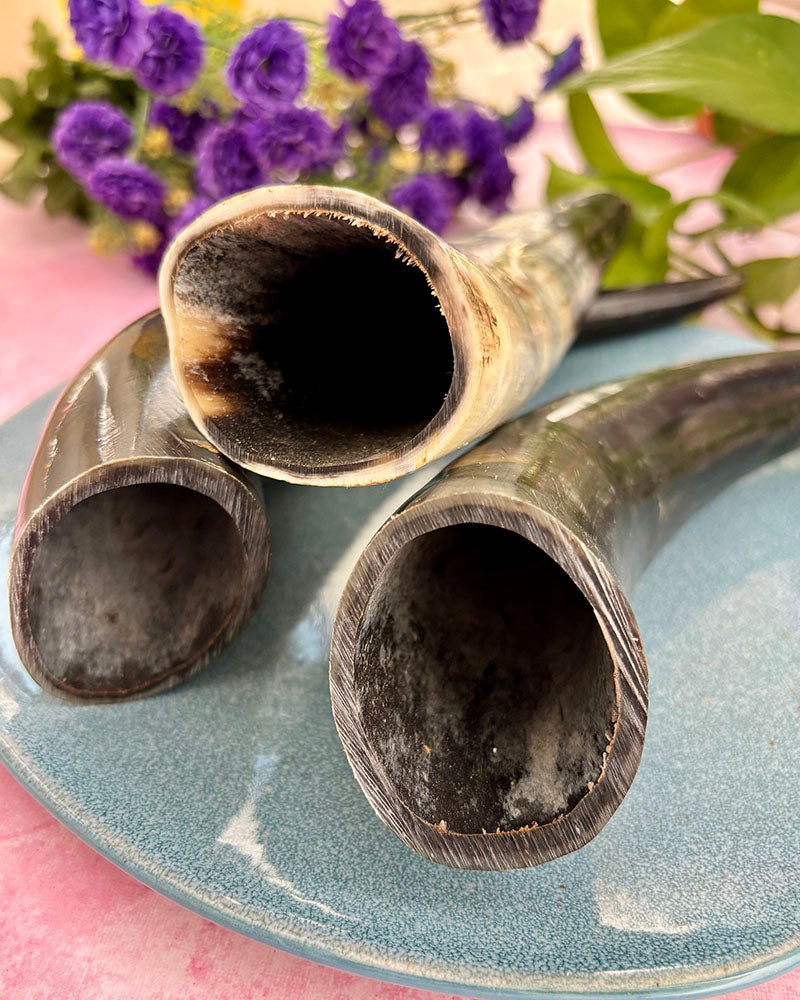 Beef Horn Chew - natural & reusable Toppl / Kong SPECIAL