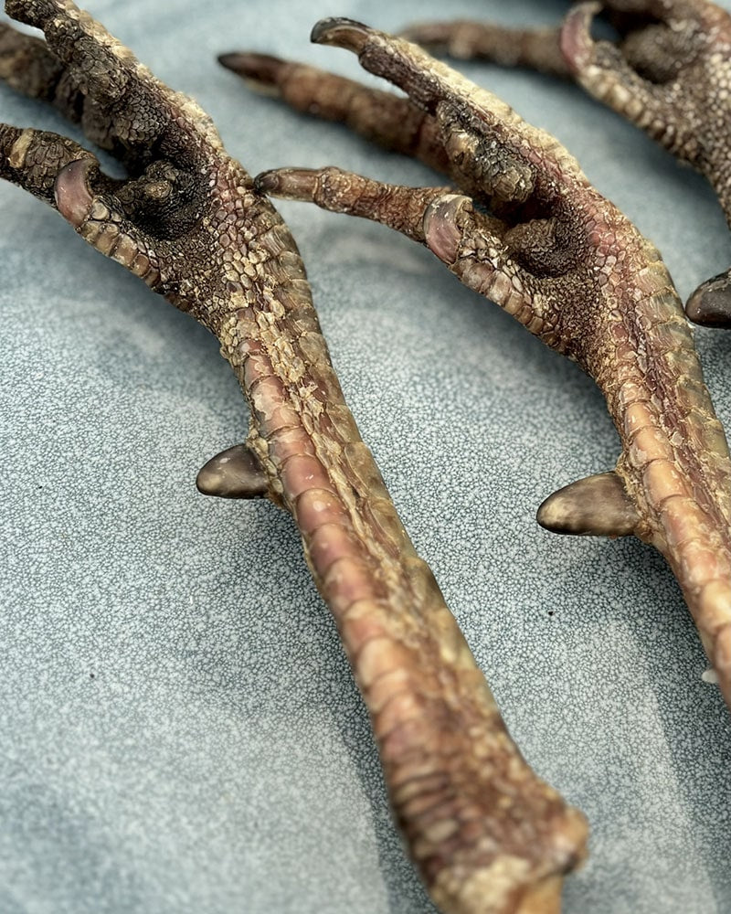 Turkey Feet - SPECIAL