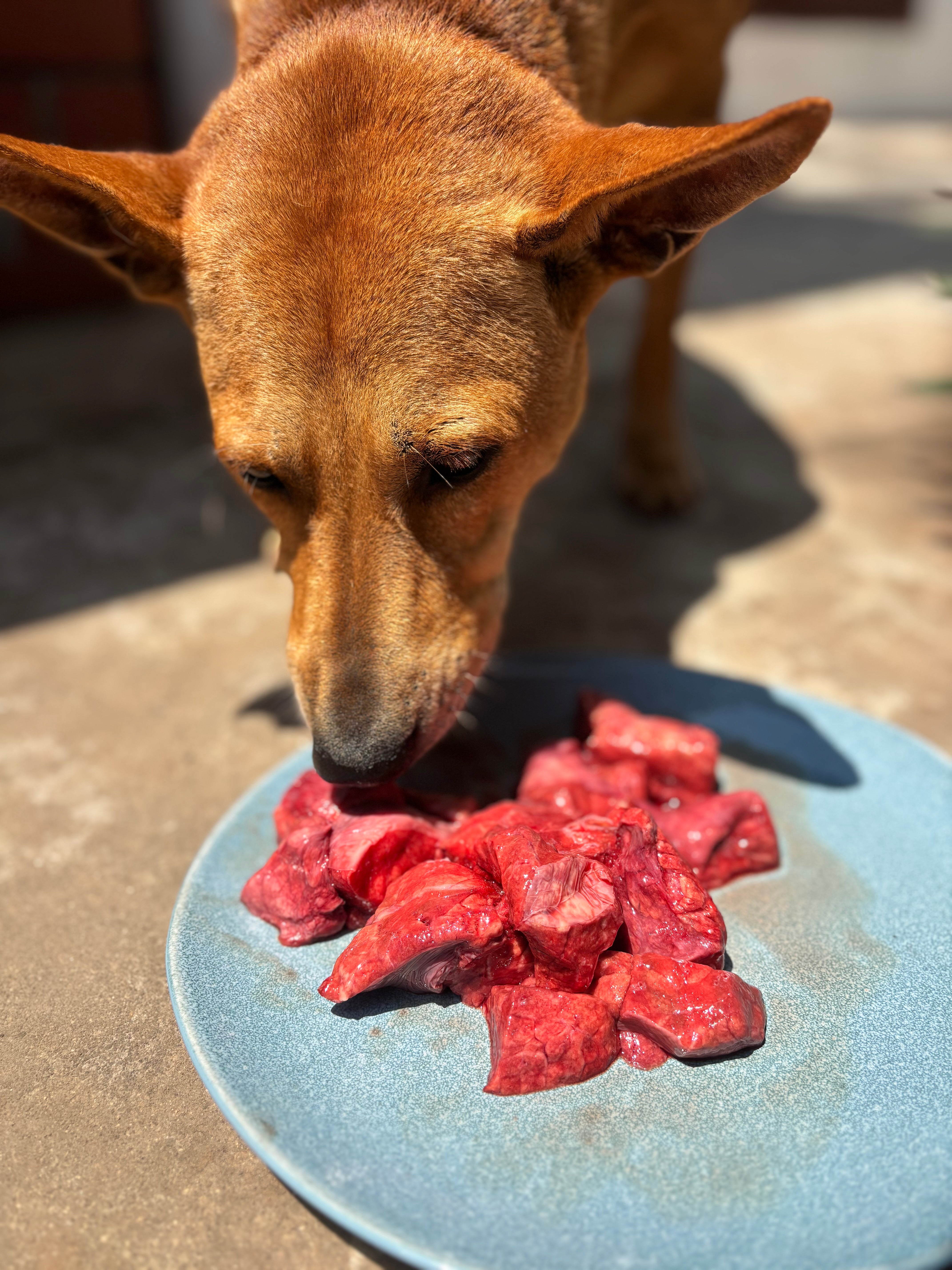 Beef Organs (Variety)