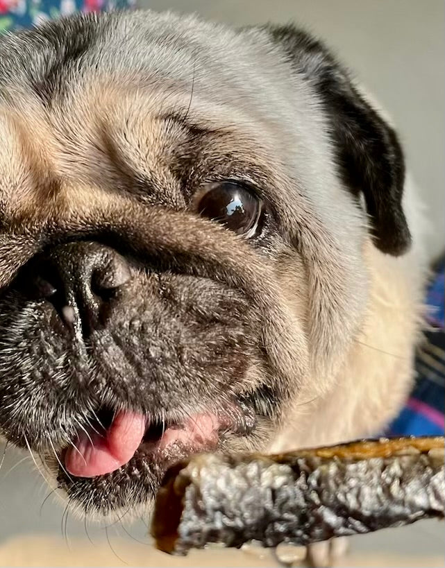 Norwegian Salmon Skin Crisps