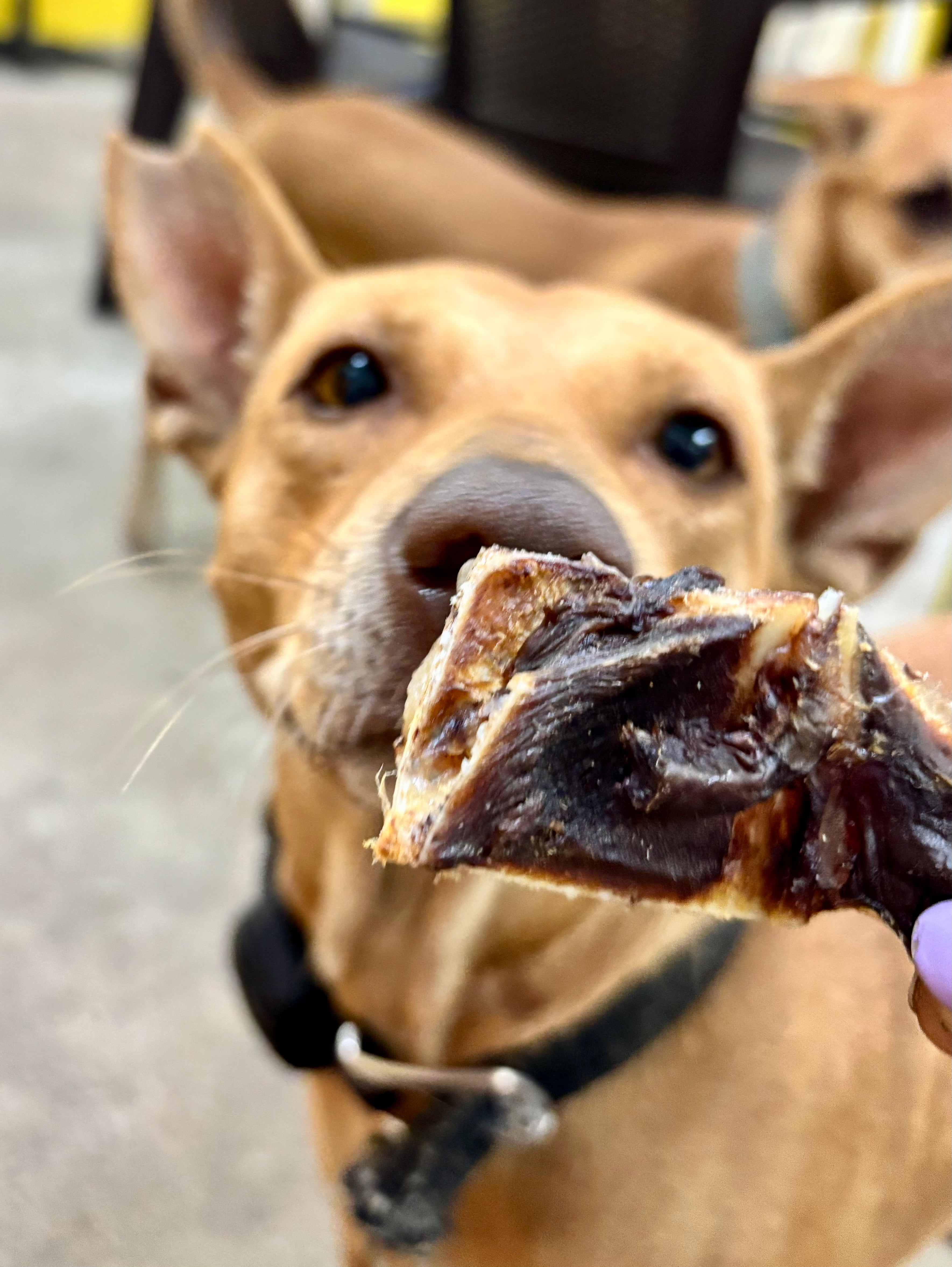 Turkey Chunks - SPECIAL