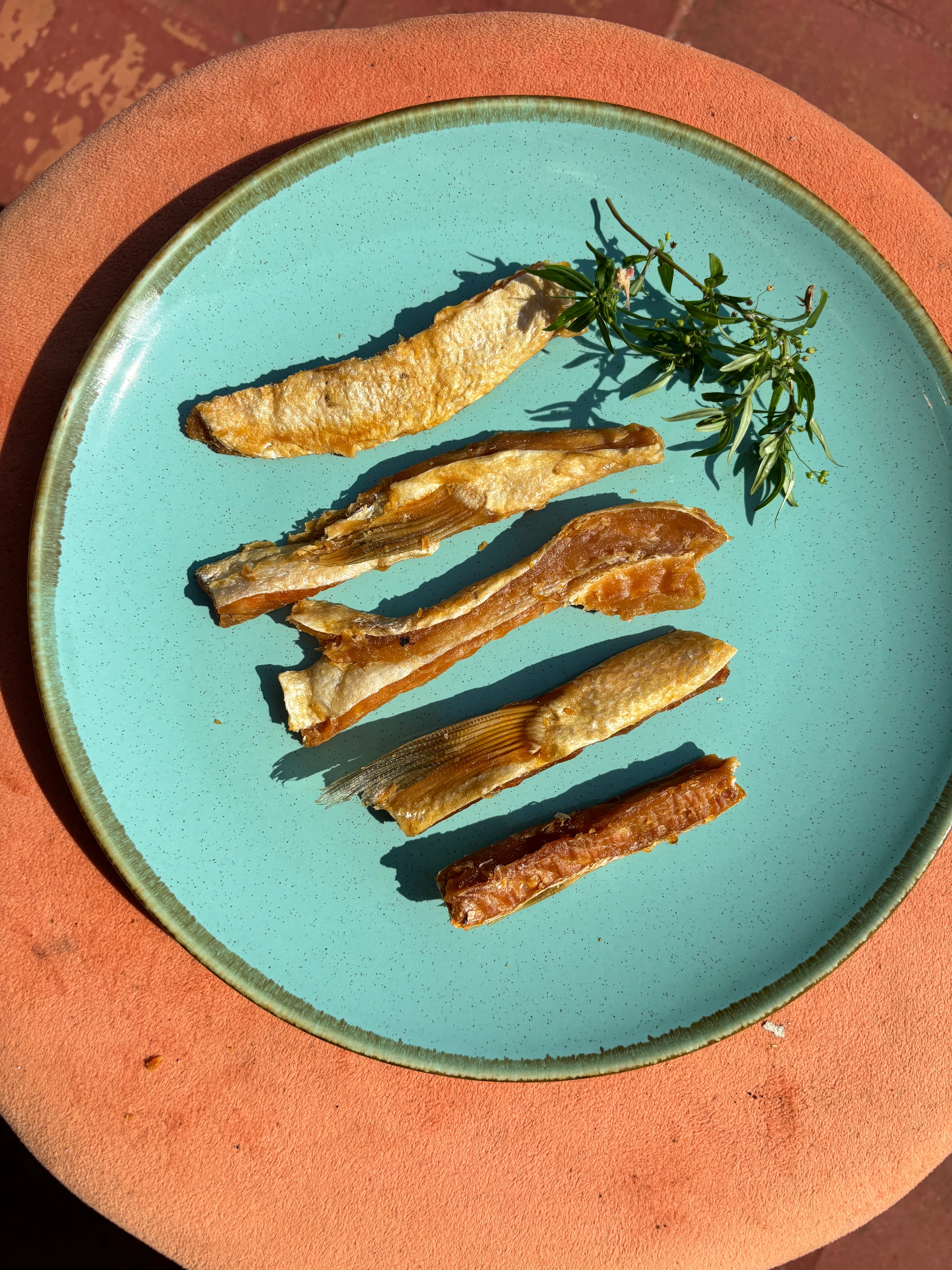 Norwegian Salmon Sushi