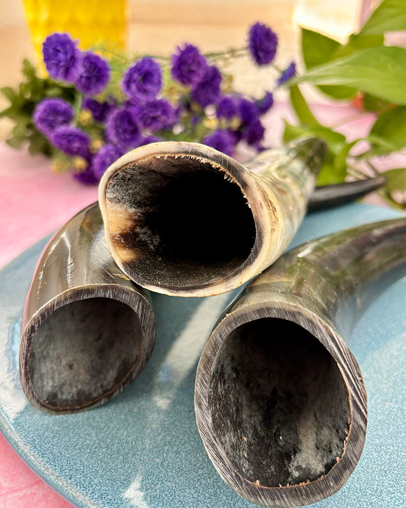 Beef Horn Chew - natural & reusable Toppl / Kong SPECIAL