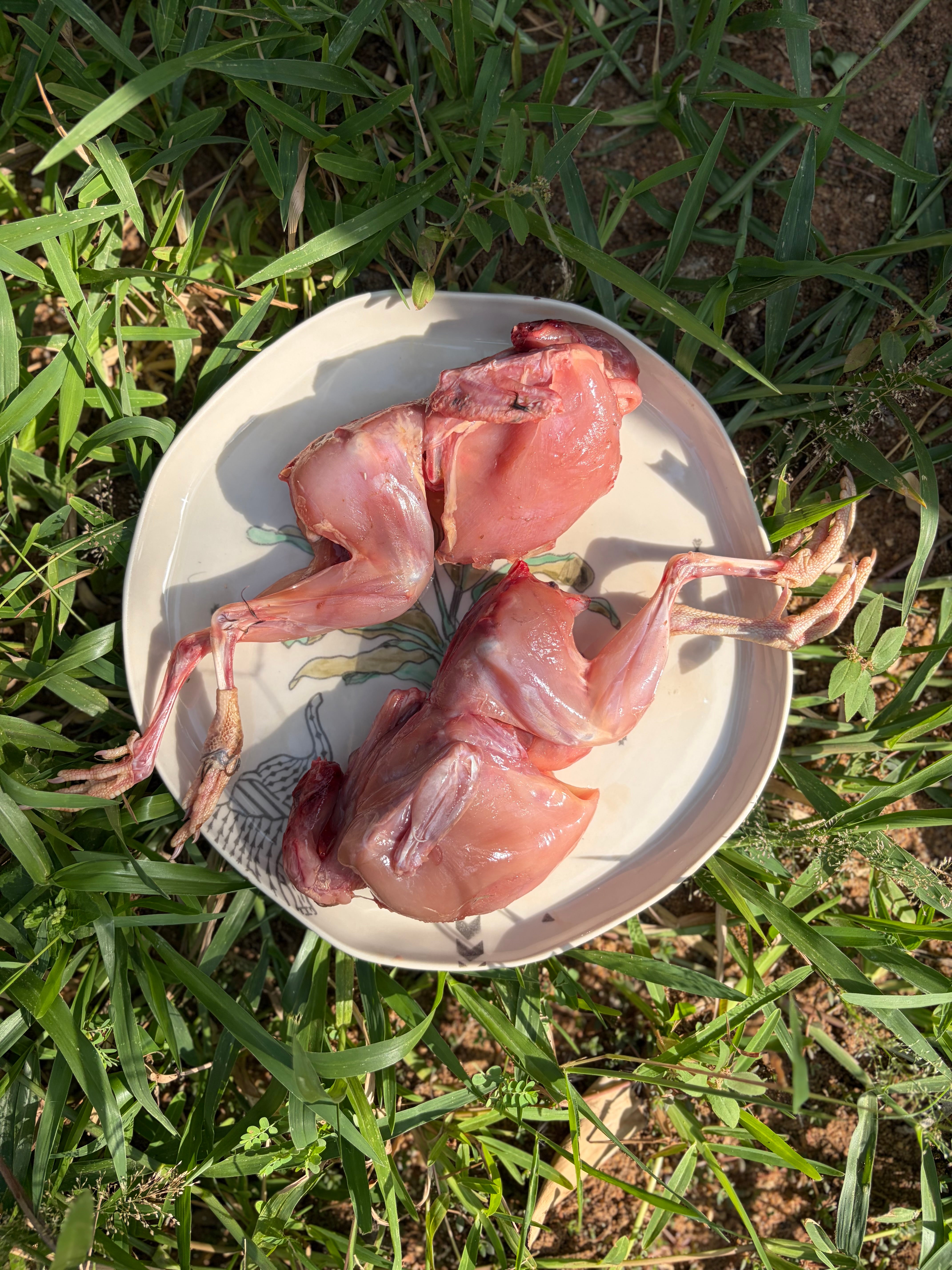 Whole Quail