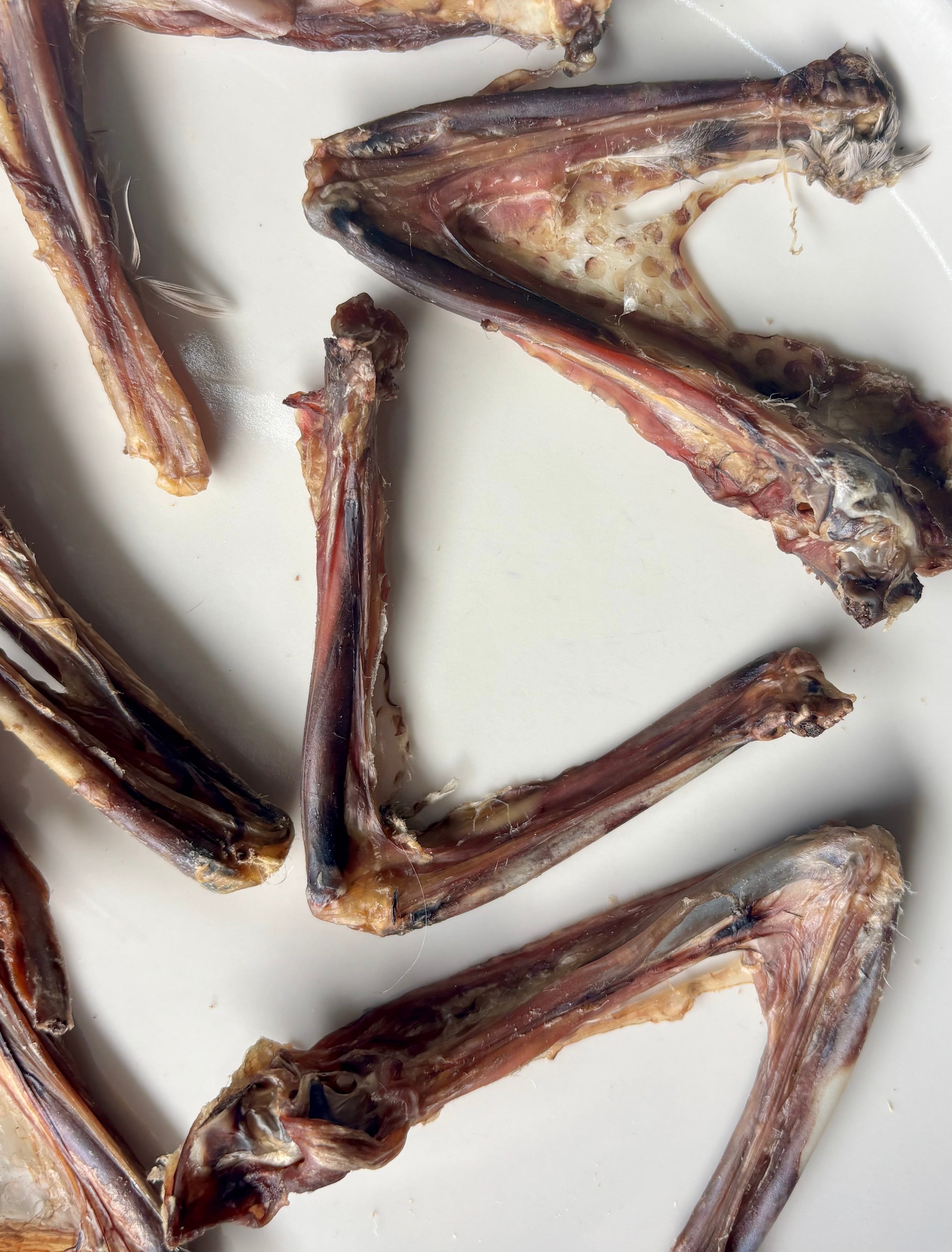 Duck Wings