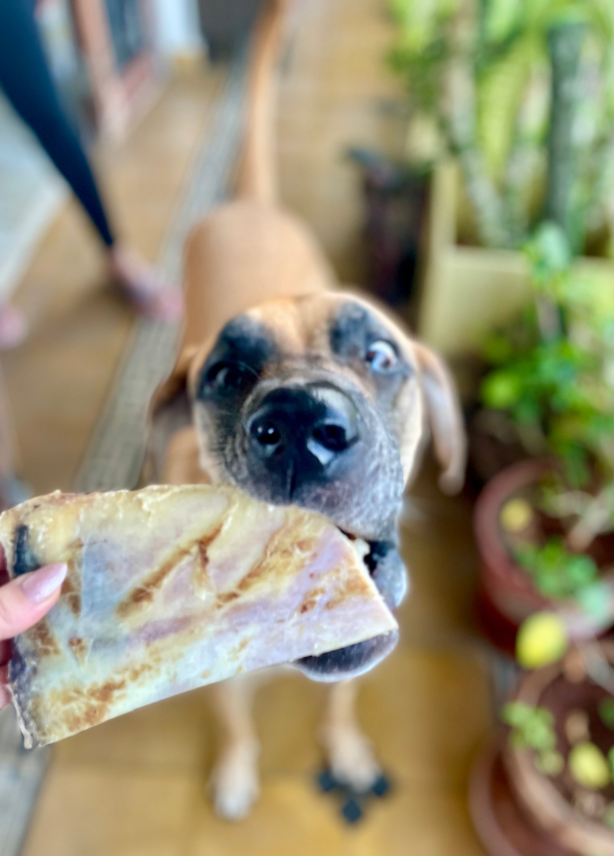 Beef Shoulder Bone 3PC