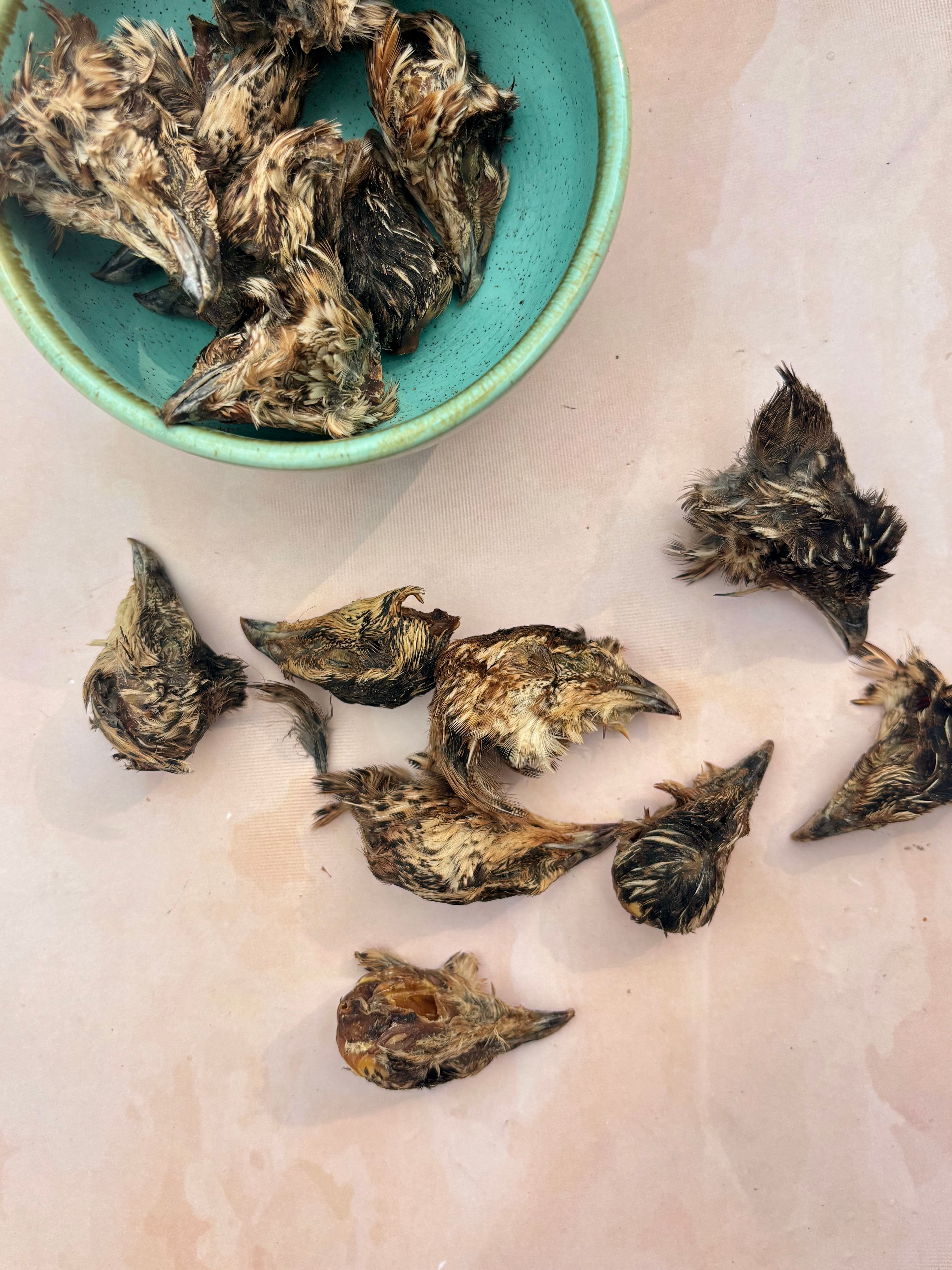 Quail Crunchy Heads