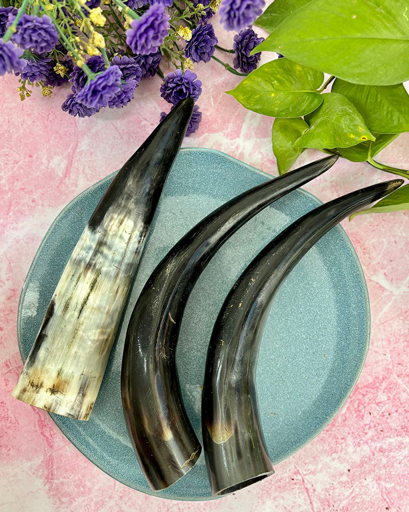 Beef Horn Chew - natural & reusable Toppl / Kong SPECIAL