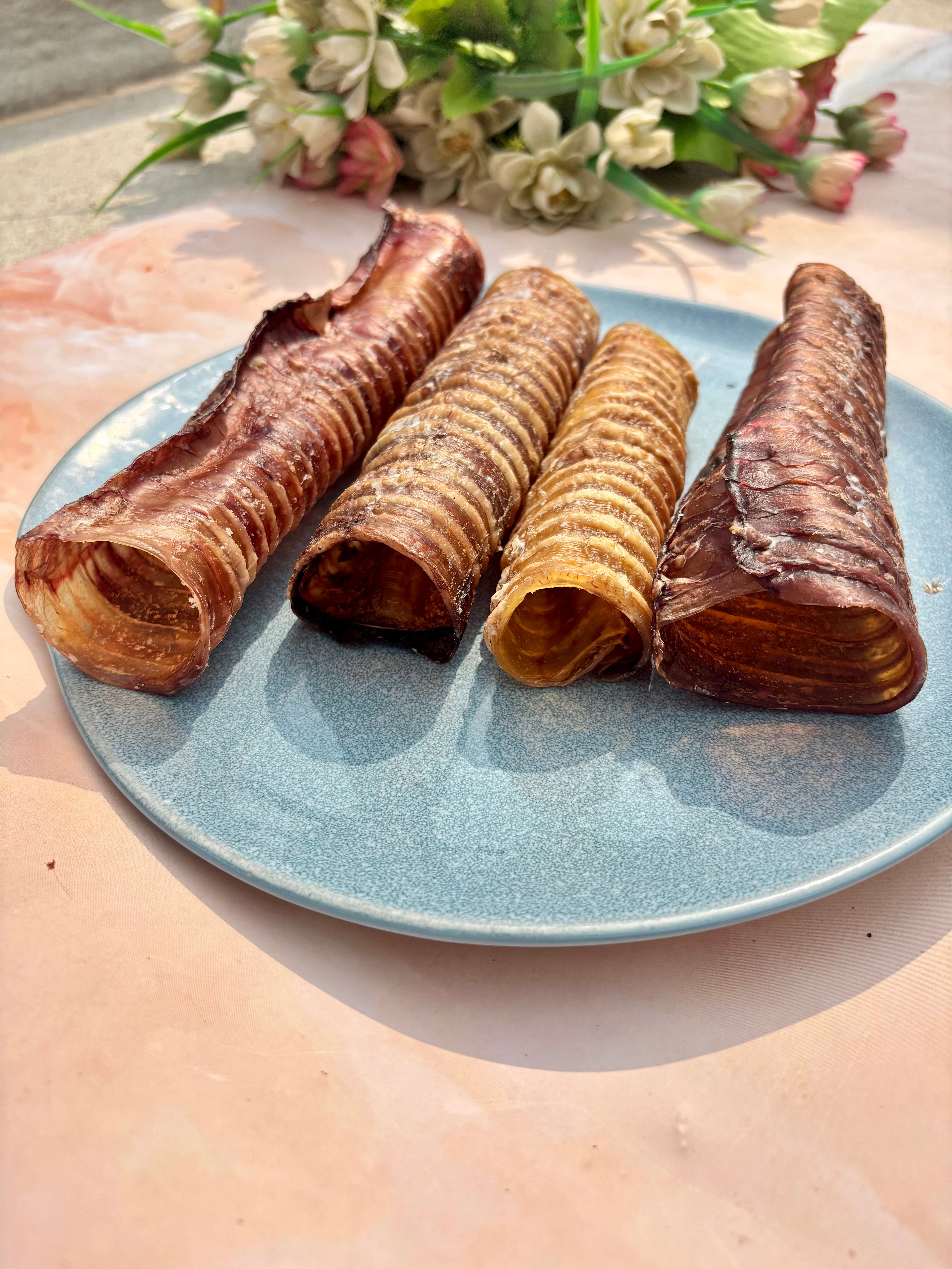 Beef Tracheas