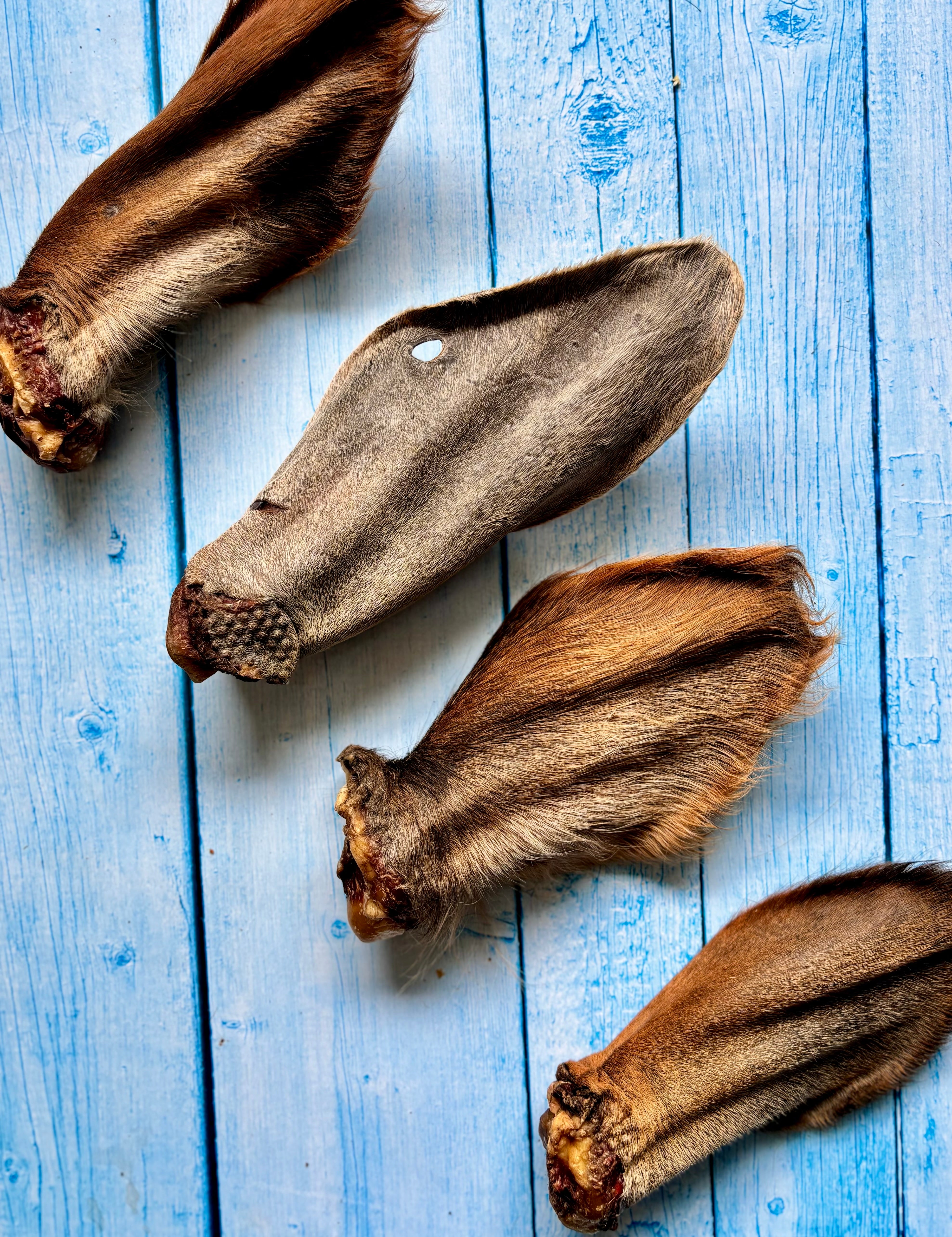 Beef Ears with Cartilage - SPECIAL