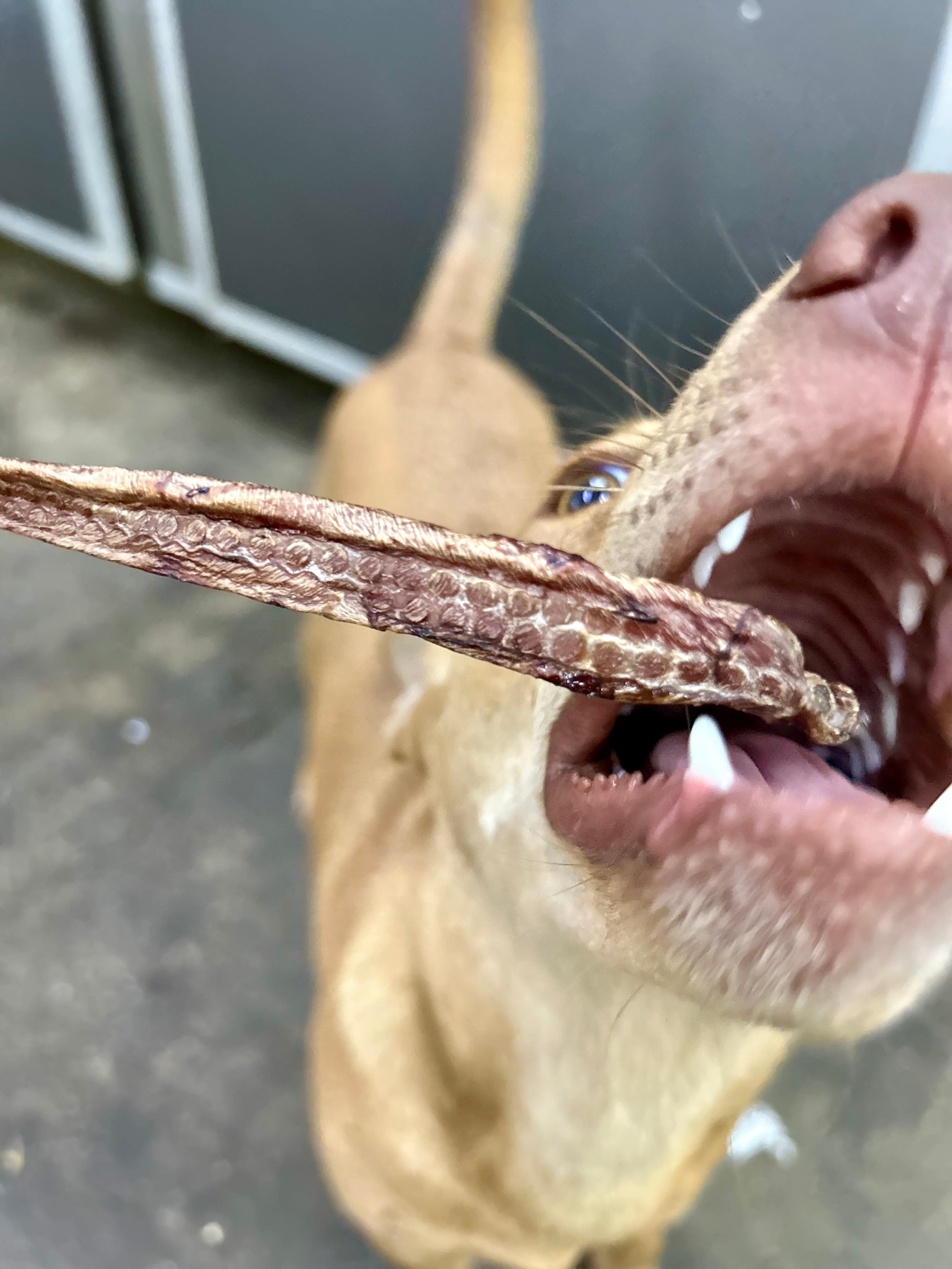 Buffalo Jerky Strips