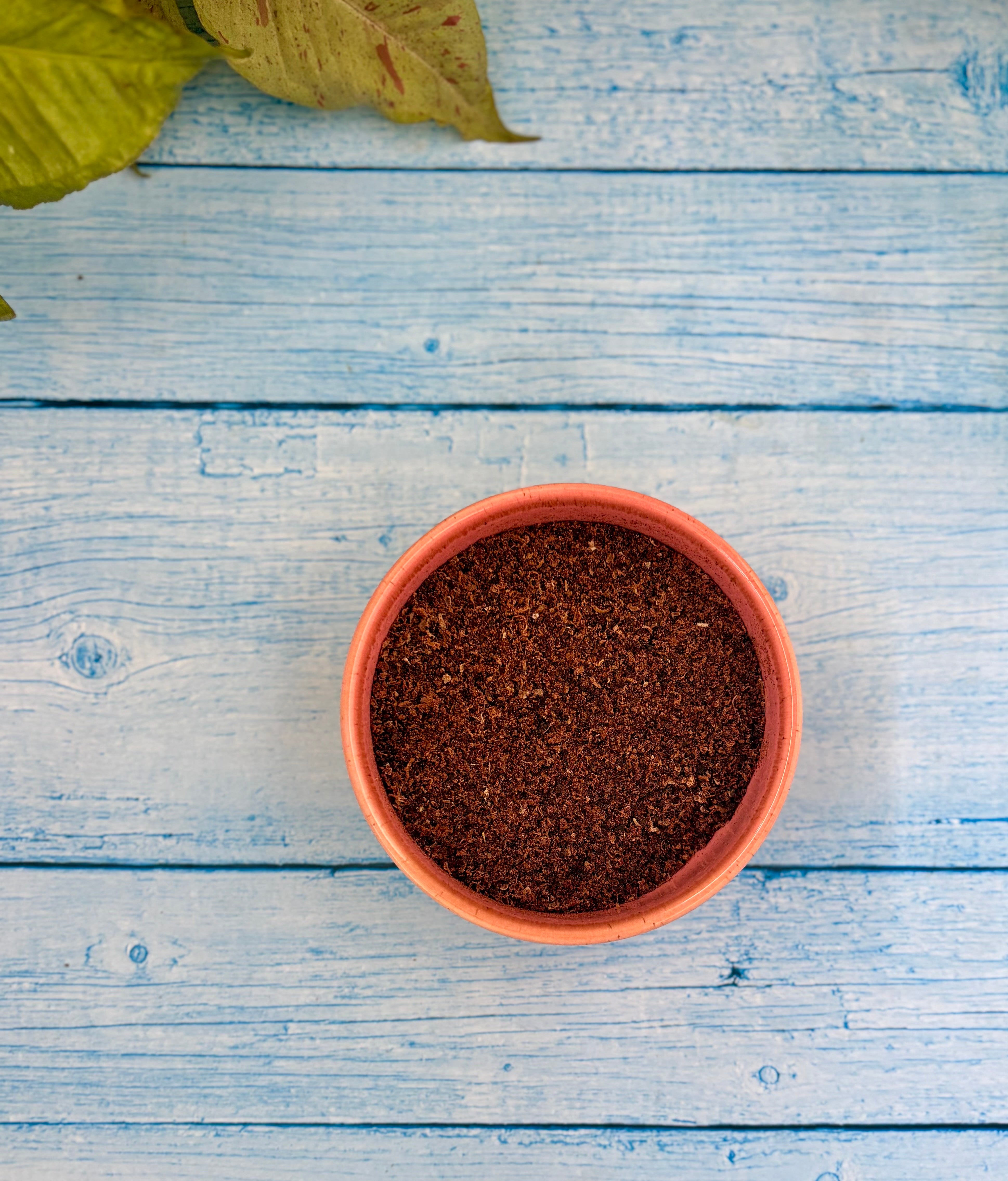 Rabbit Organ Blend - Antioxidants & Vitamins