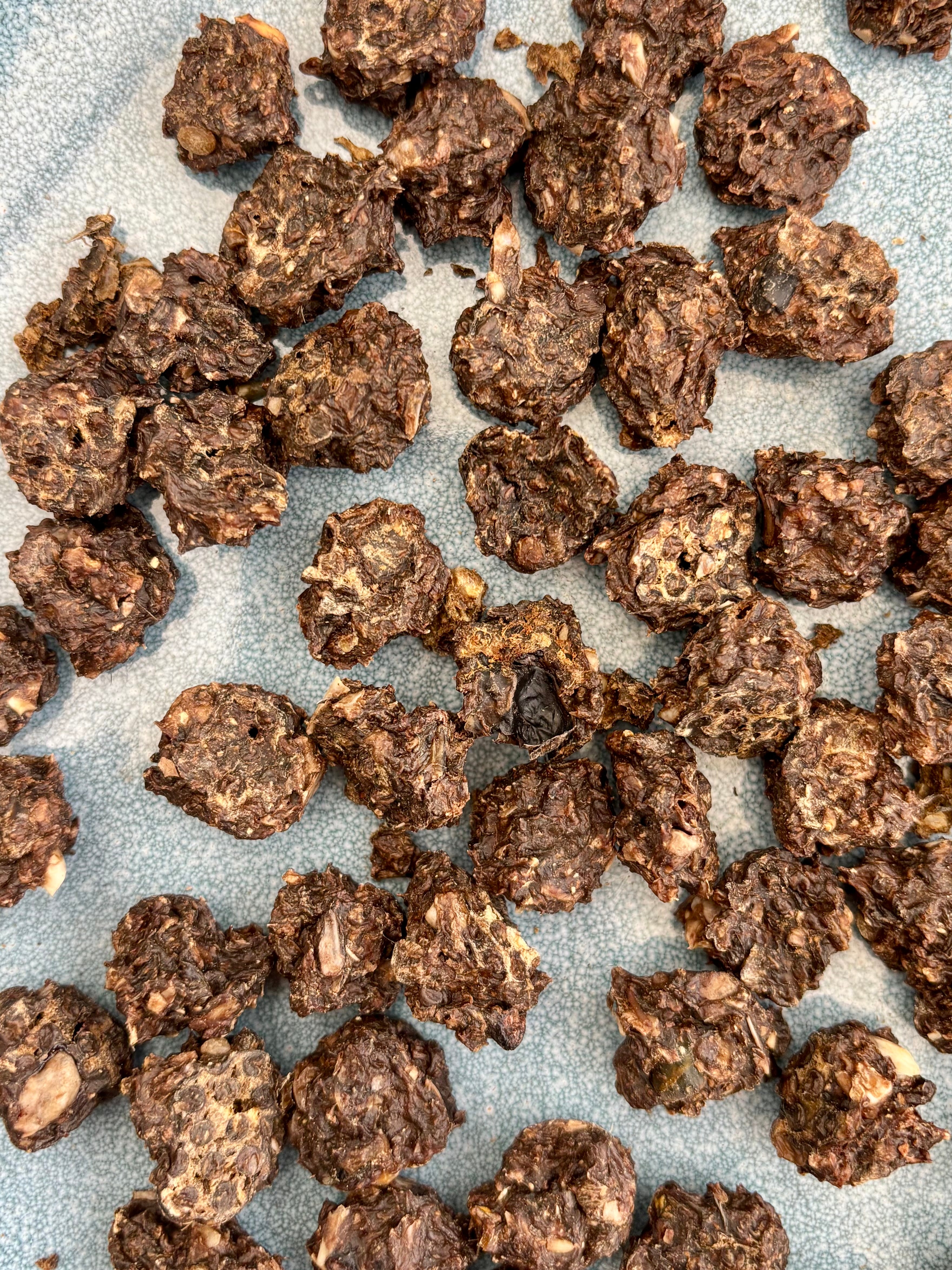 Squab Pigeon Crunchy Bites - SPECIAL