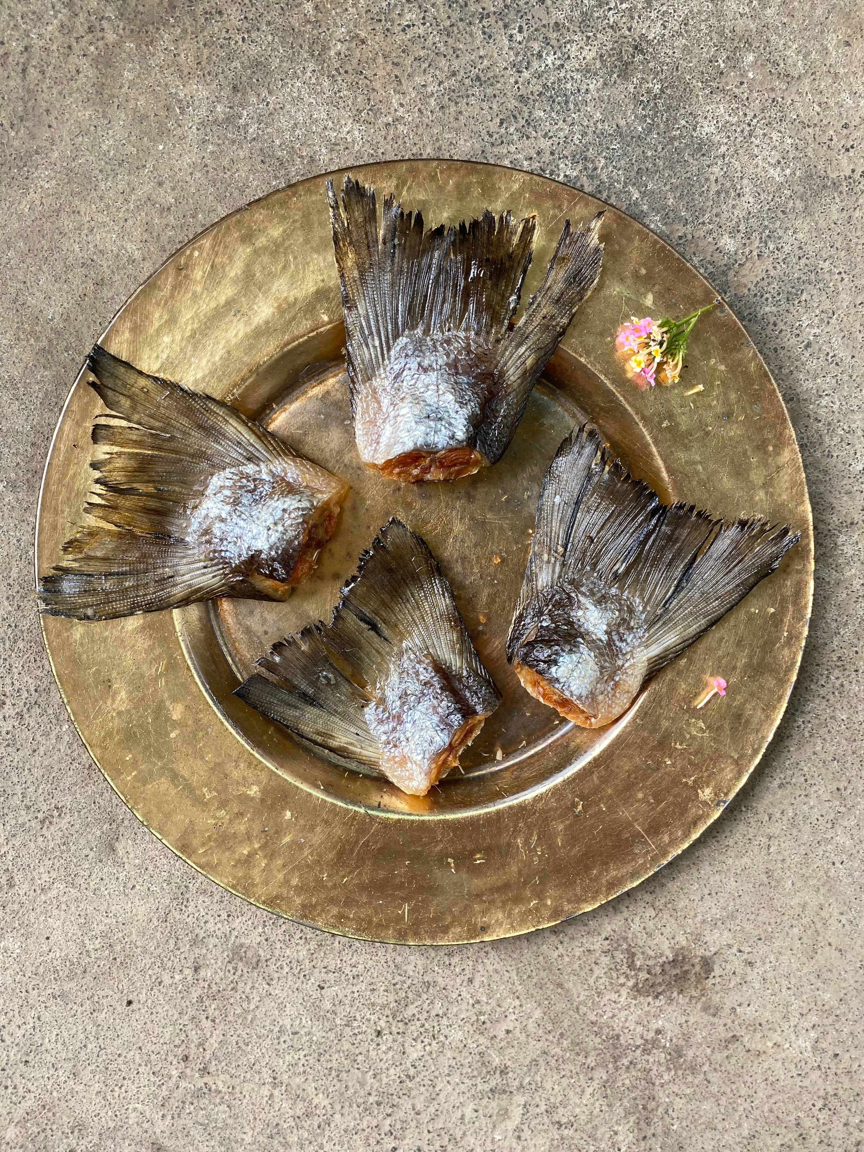 Norwegian Salmon Tailfins