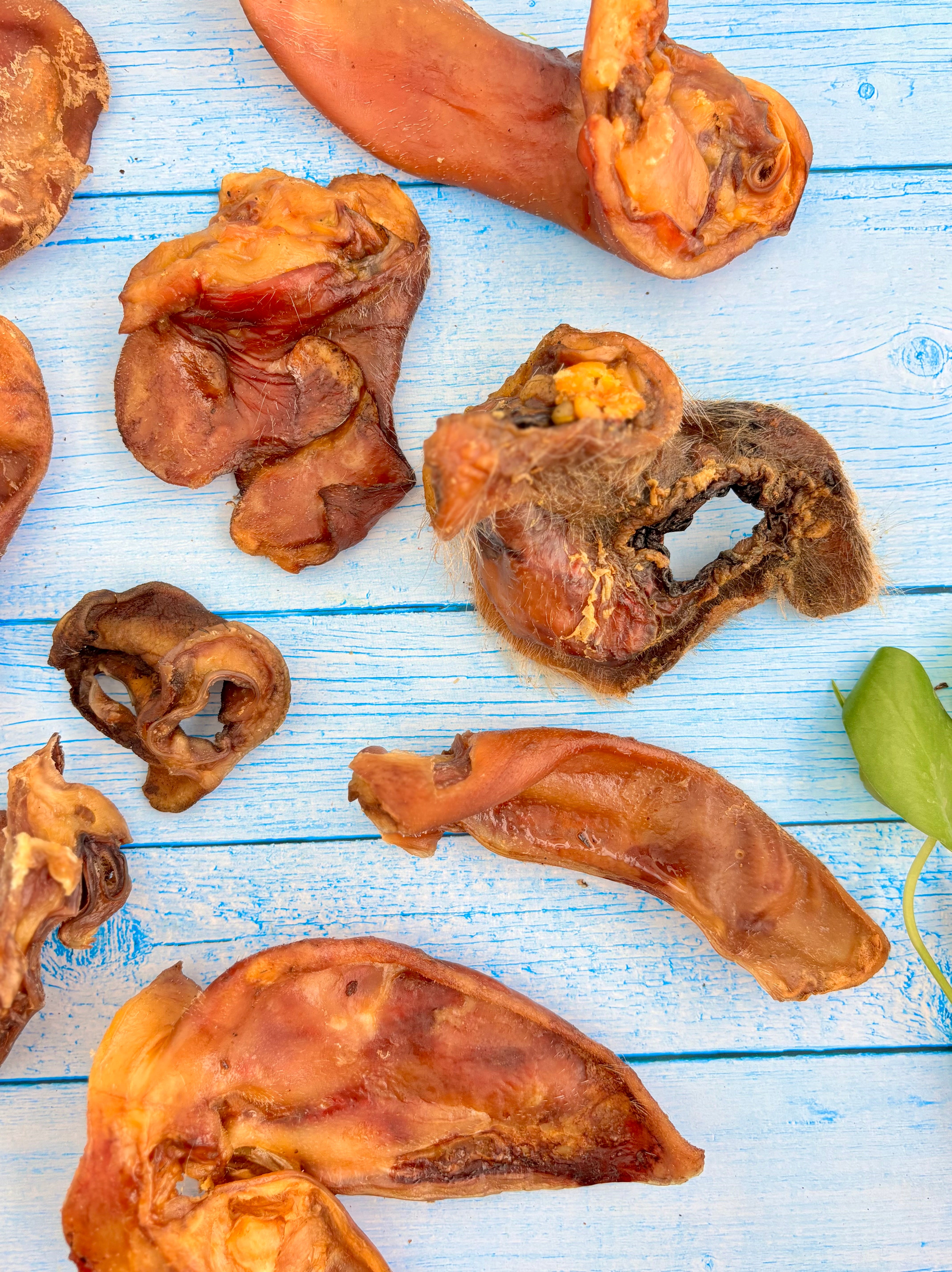 Pork Ear Cut-Offs - boneless Combo