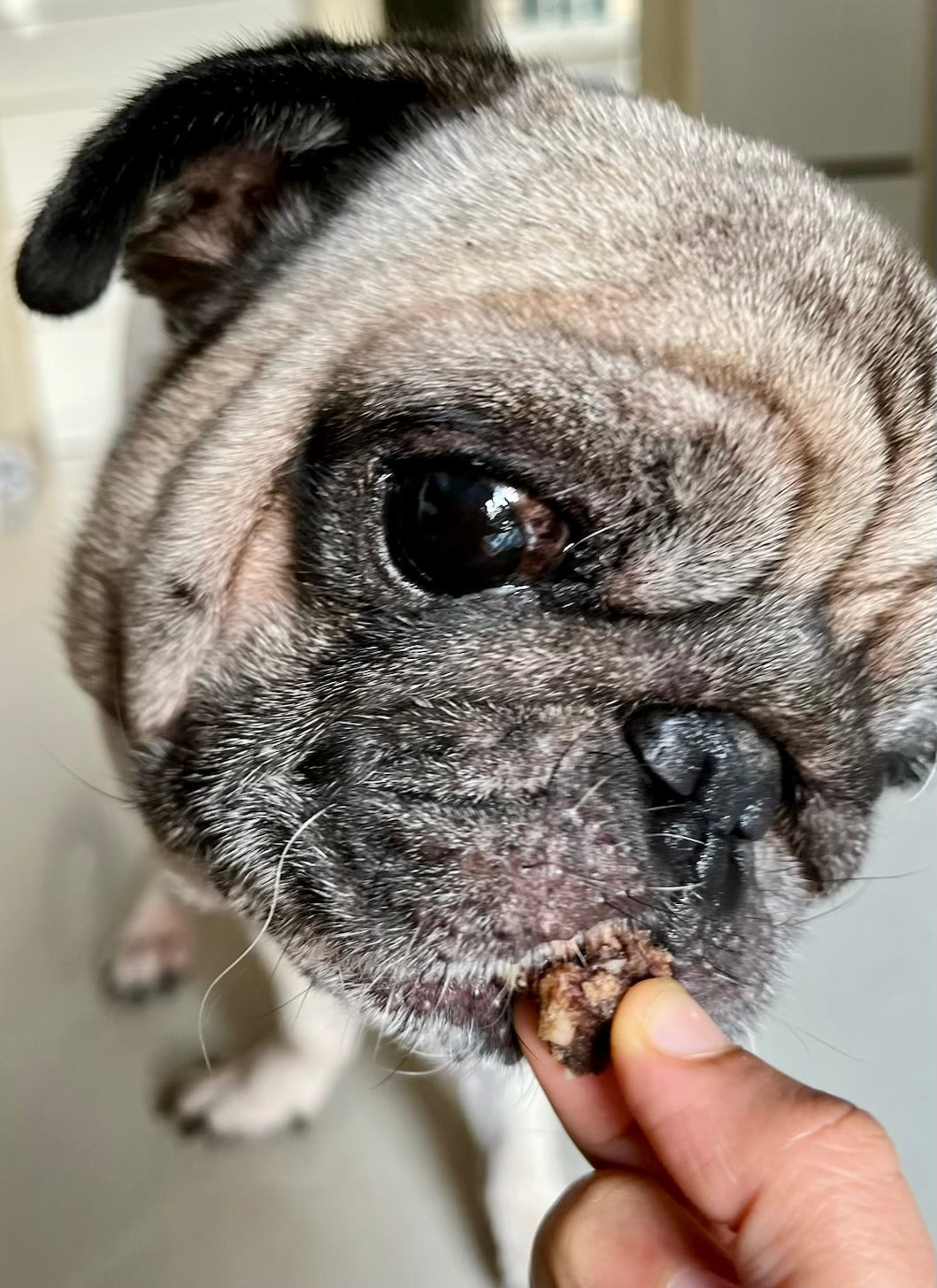 Turkey Crunchy Bites