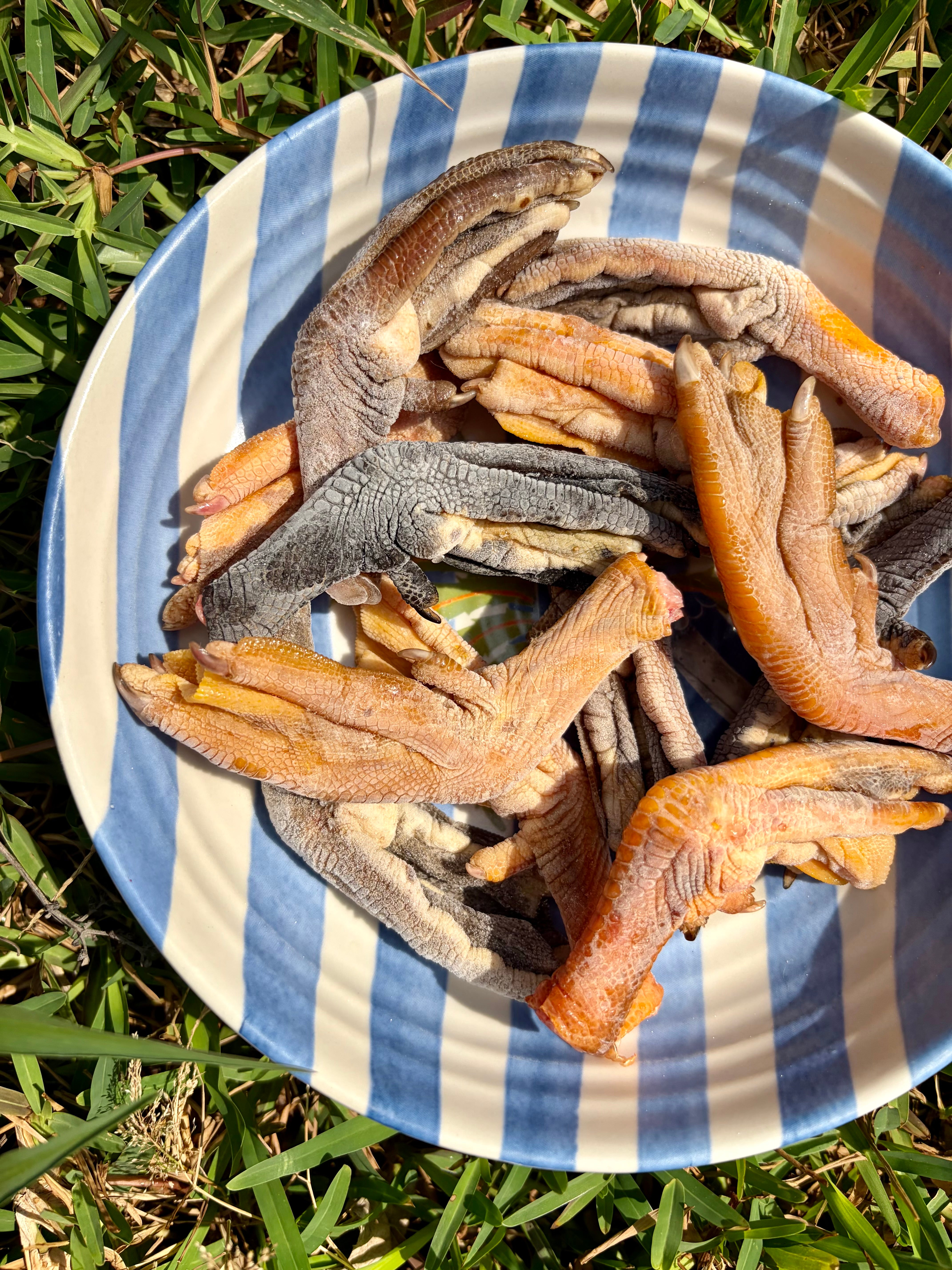Duck Bones (Variety)