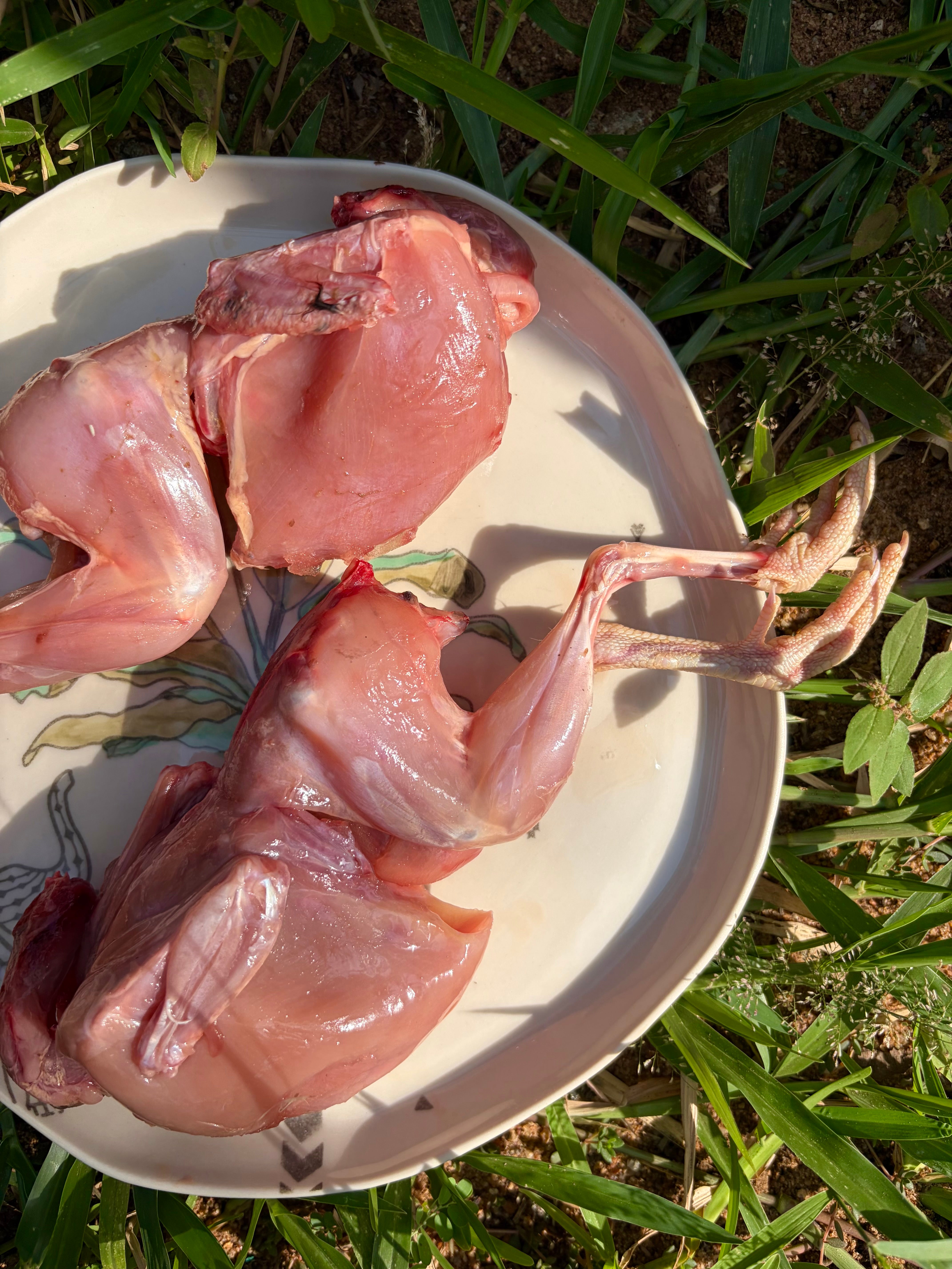 Whole Quail