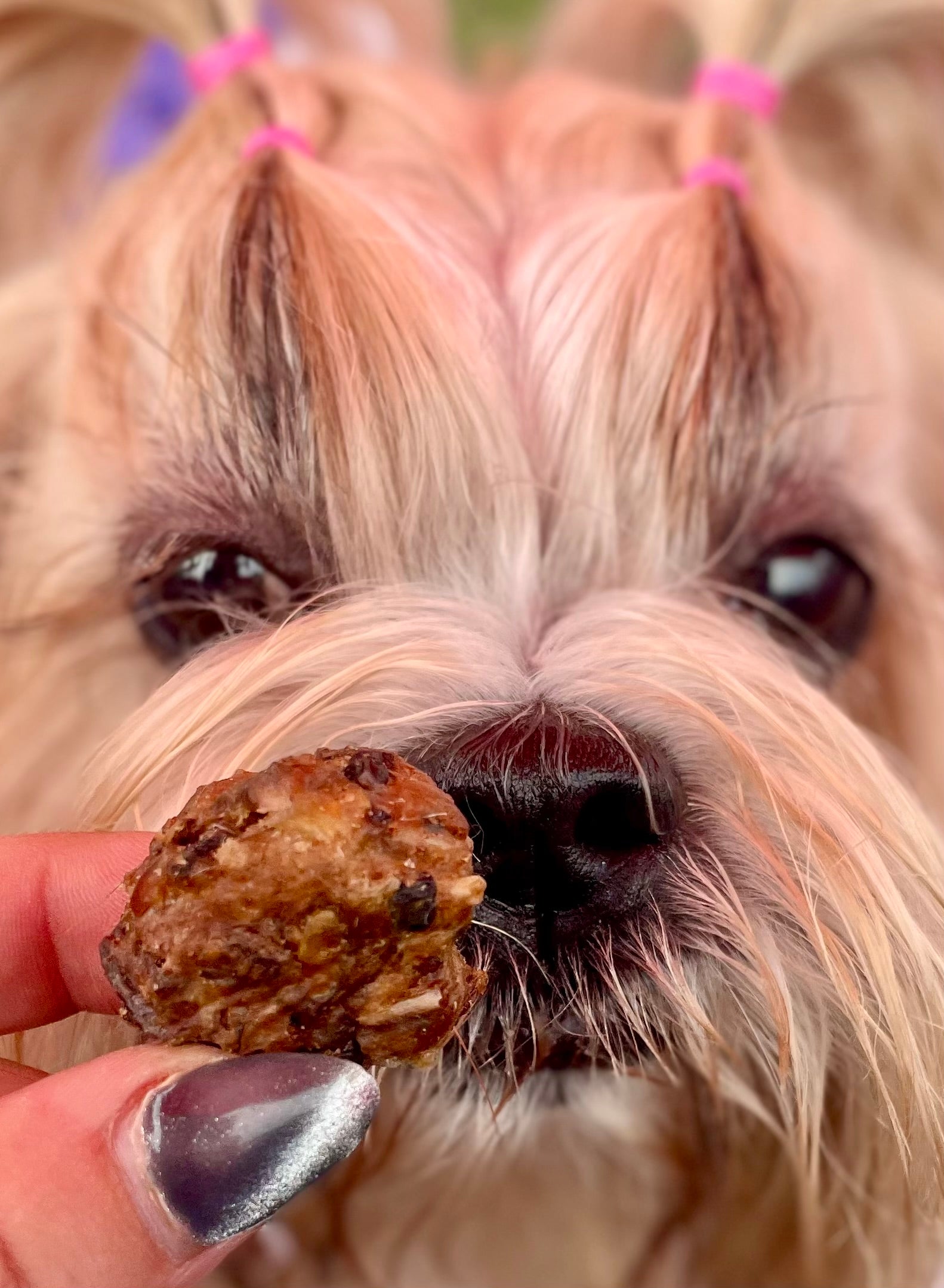 Rabbit Crunchy Bites
