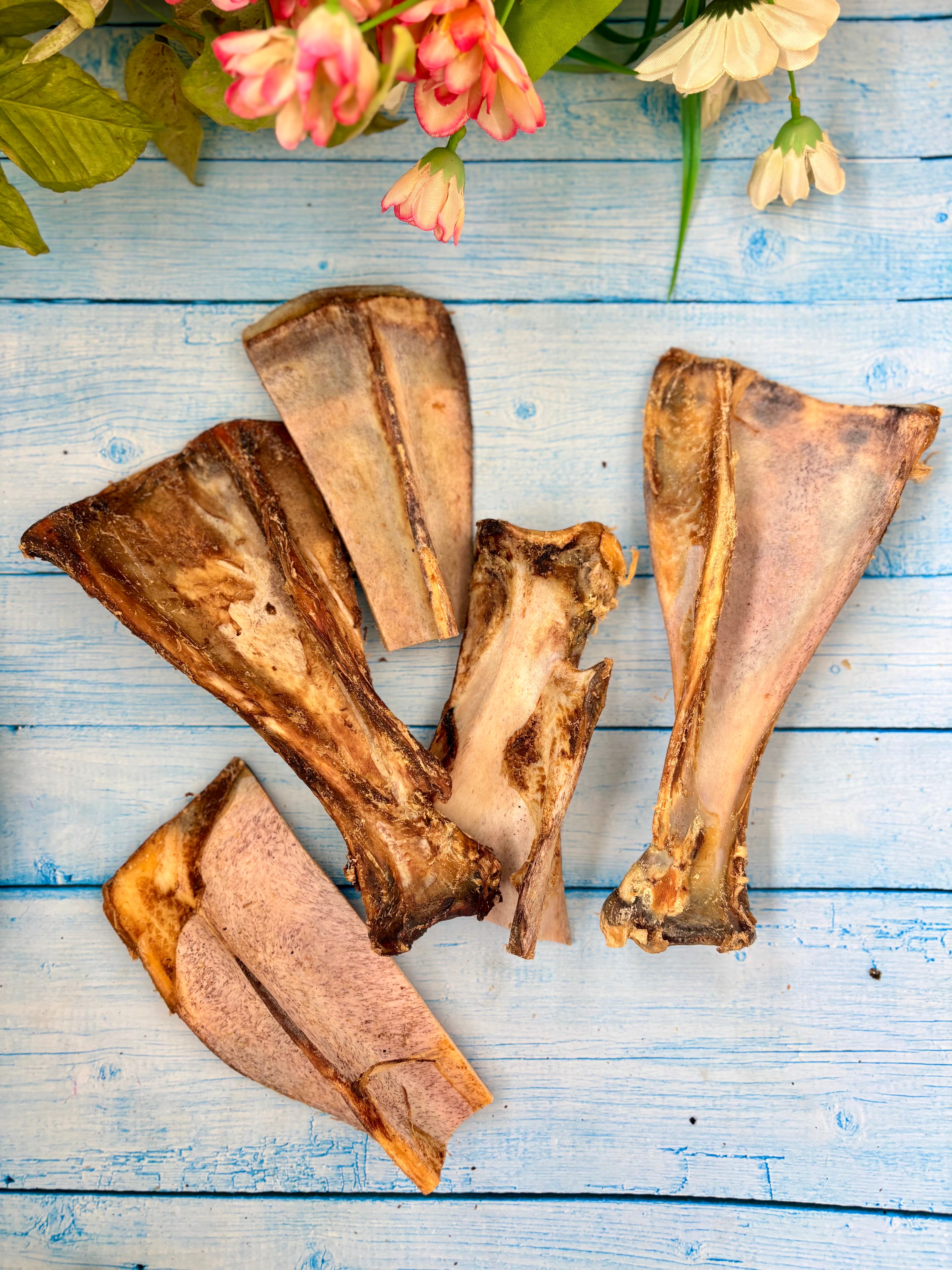 Beef Shoulder Bone 3PC