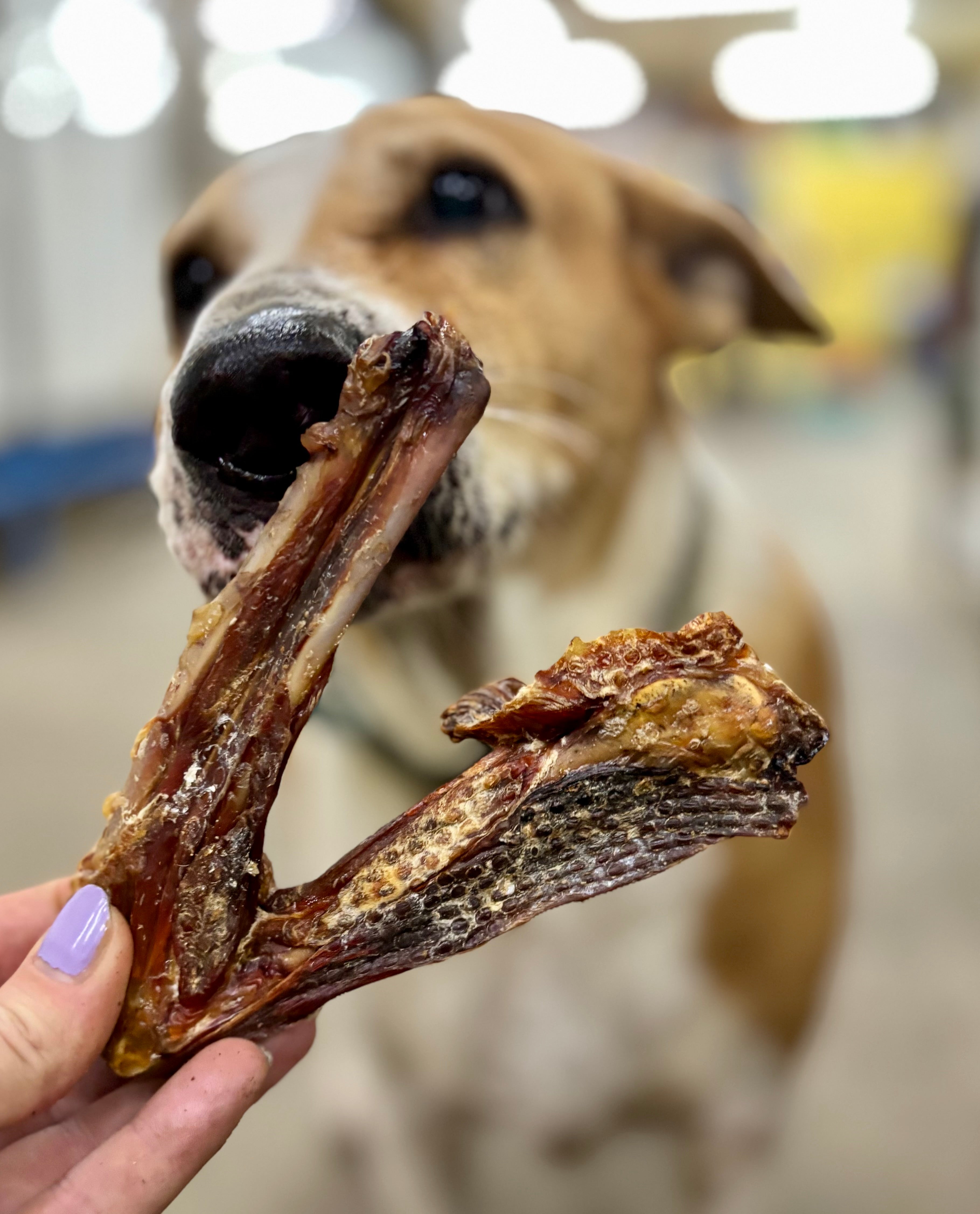 Skinless Turkey Wings - SPECIAL