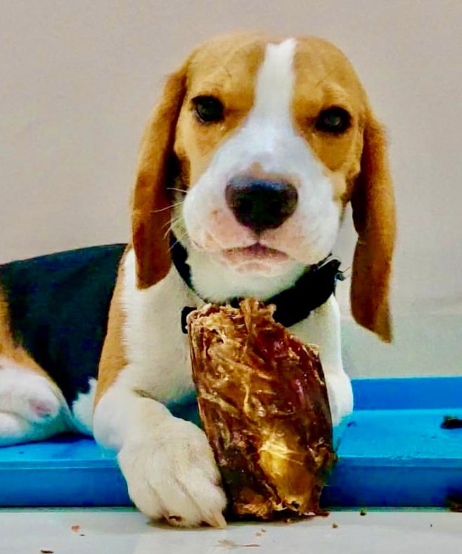 Duck Whole Frame 2PC