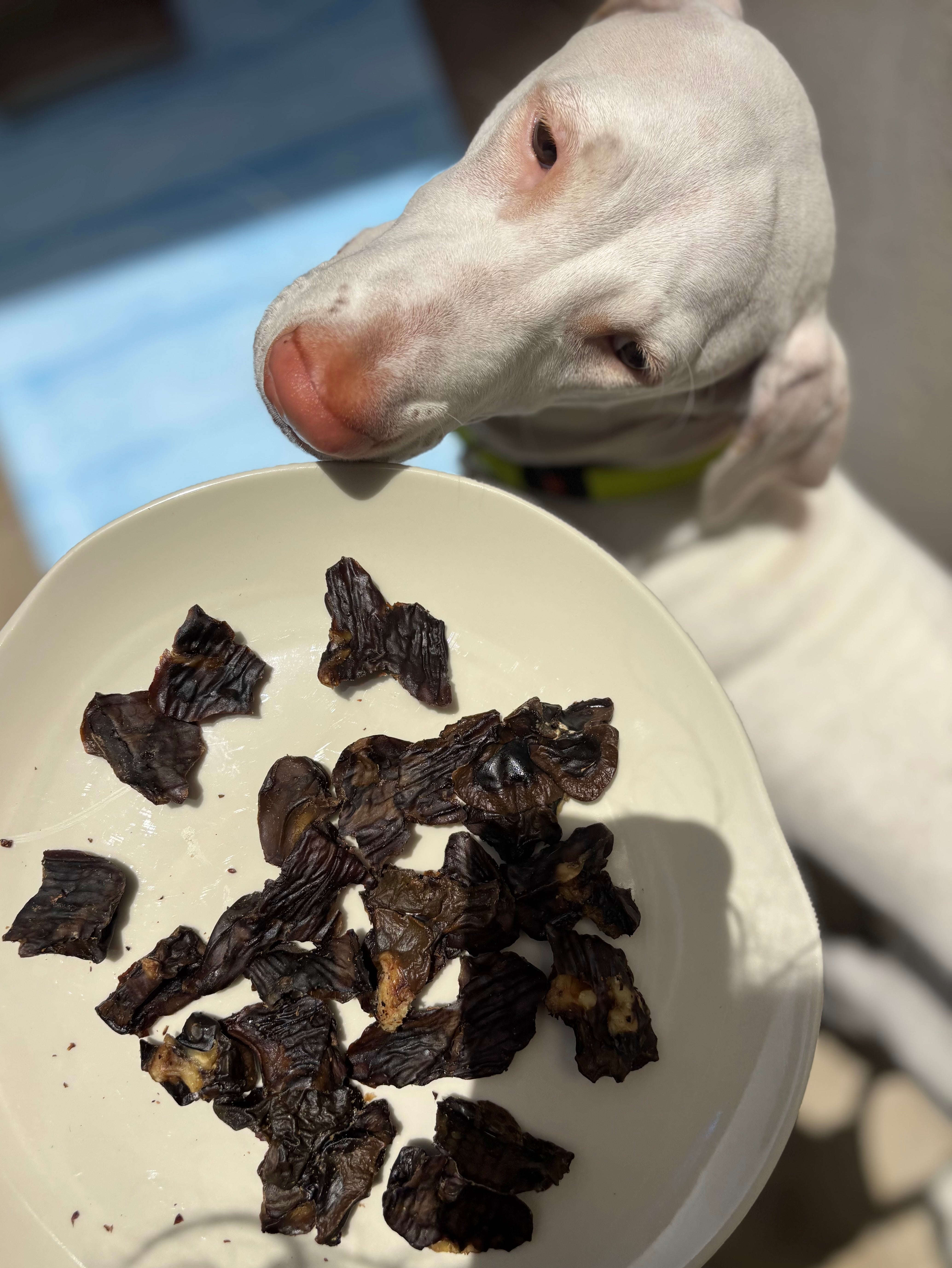 Beef Kidney Cubes - SPECIAL