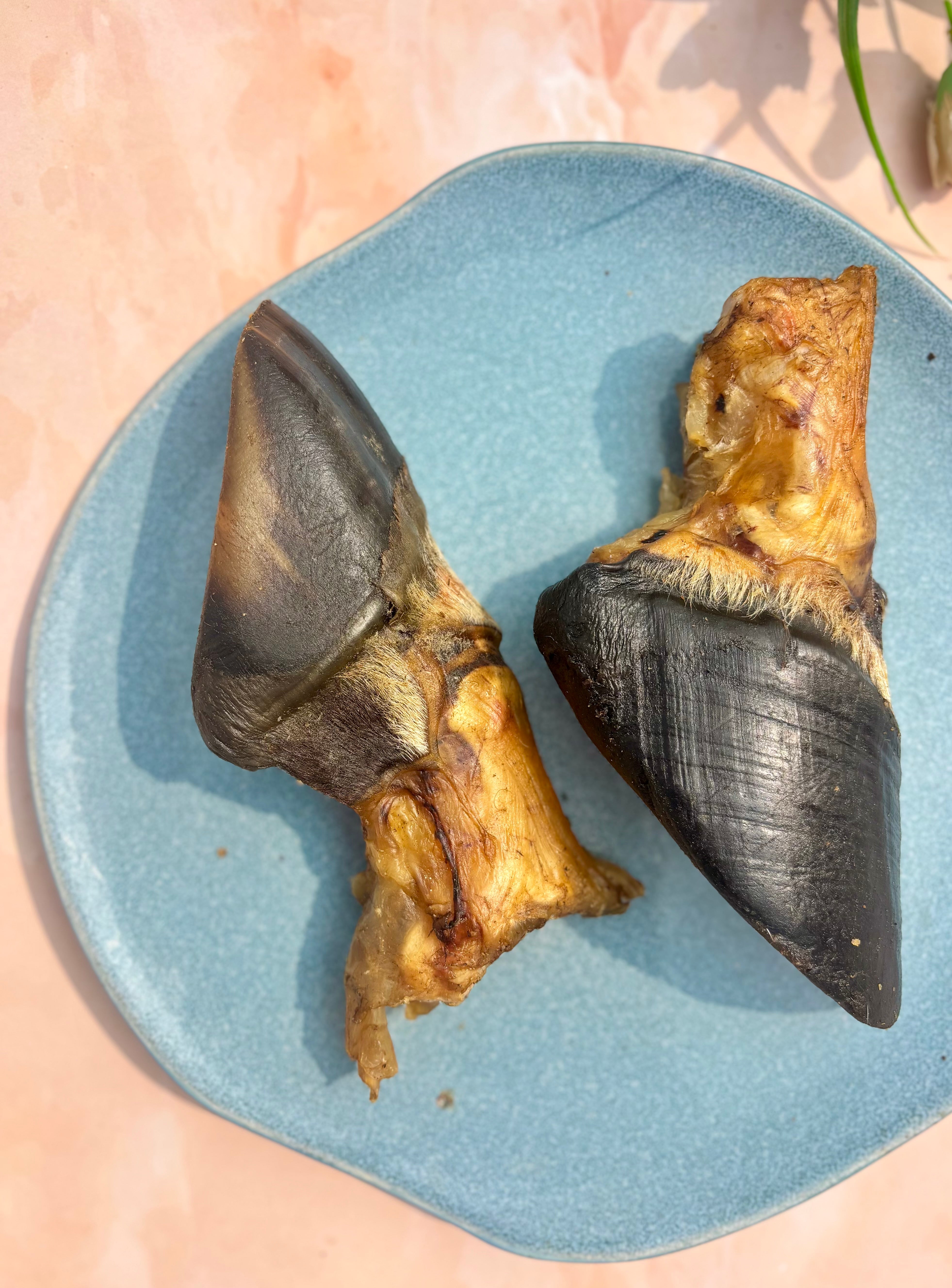 Beef Trotter Chew