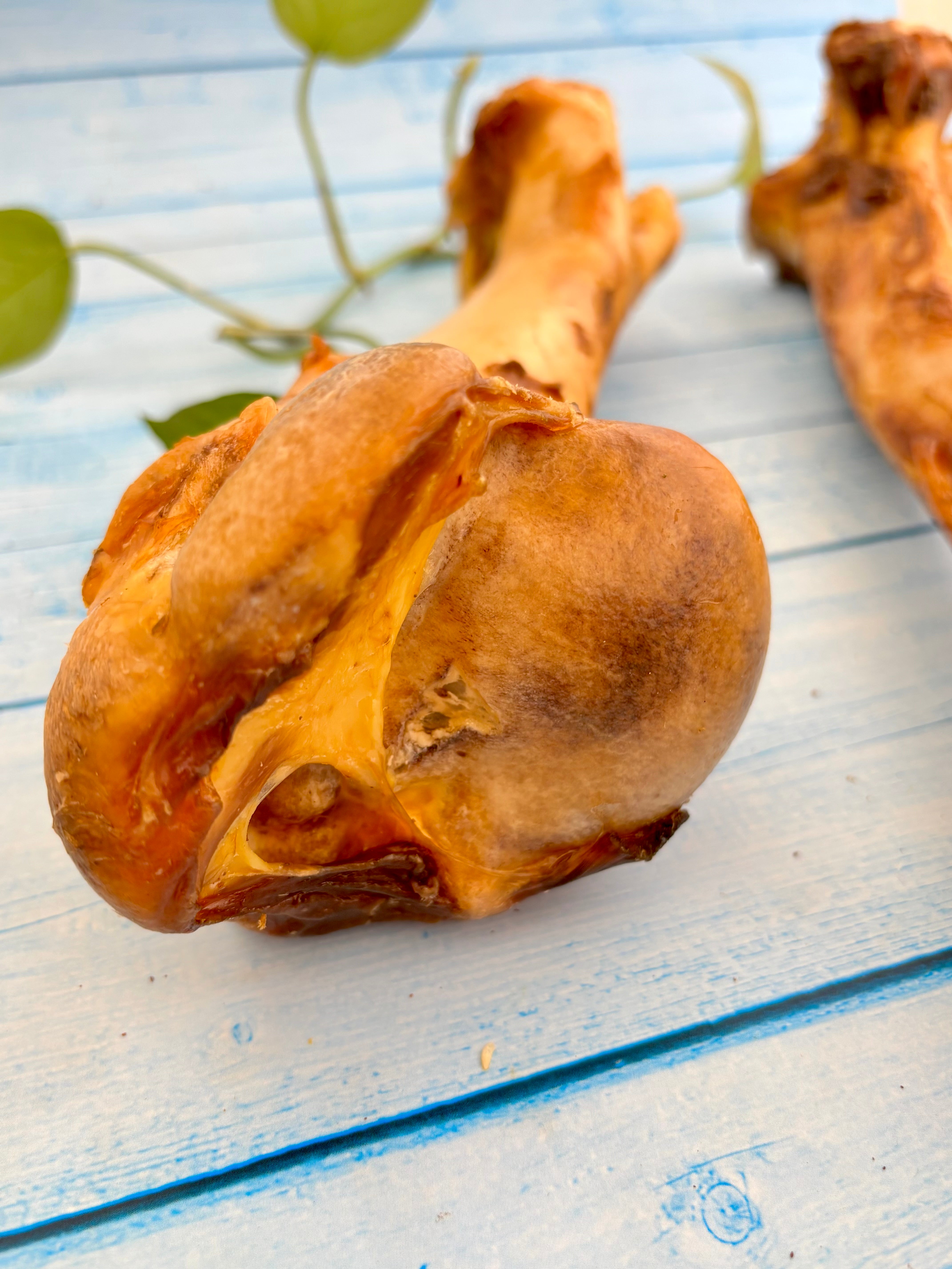Beef Jumbo Bones - Megasize Chewbone - SPECIAL