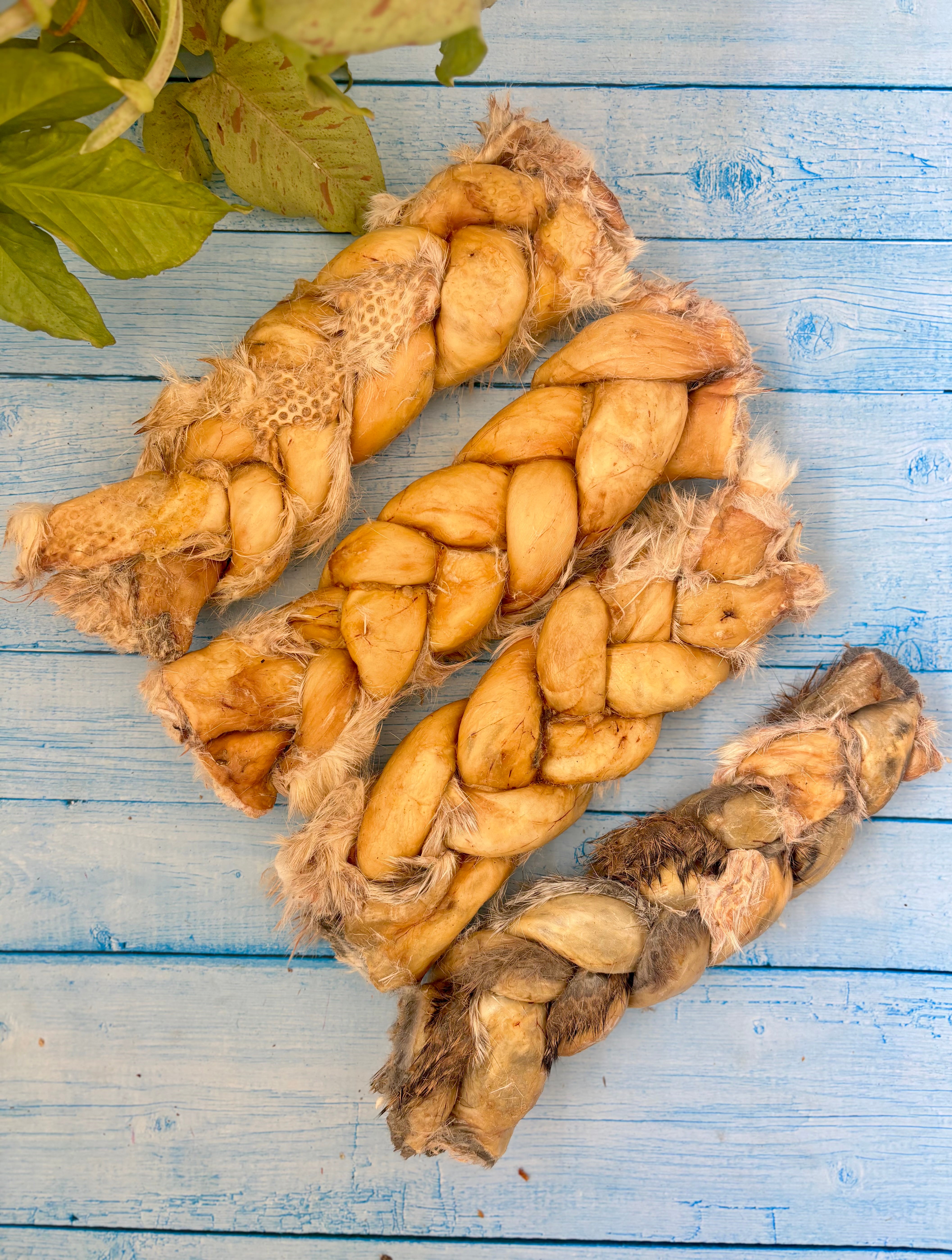 Boneless Rabbit Braid Chews - 9 inch +