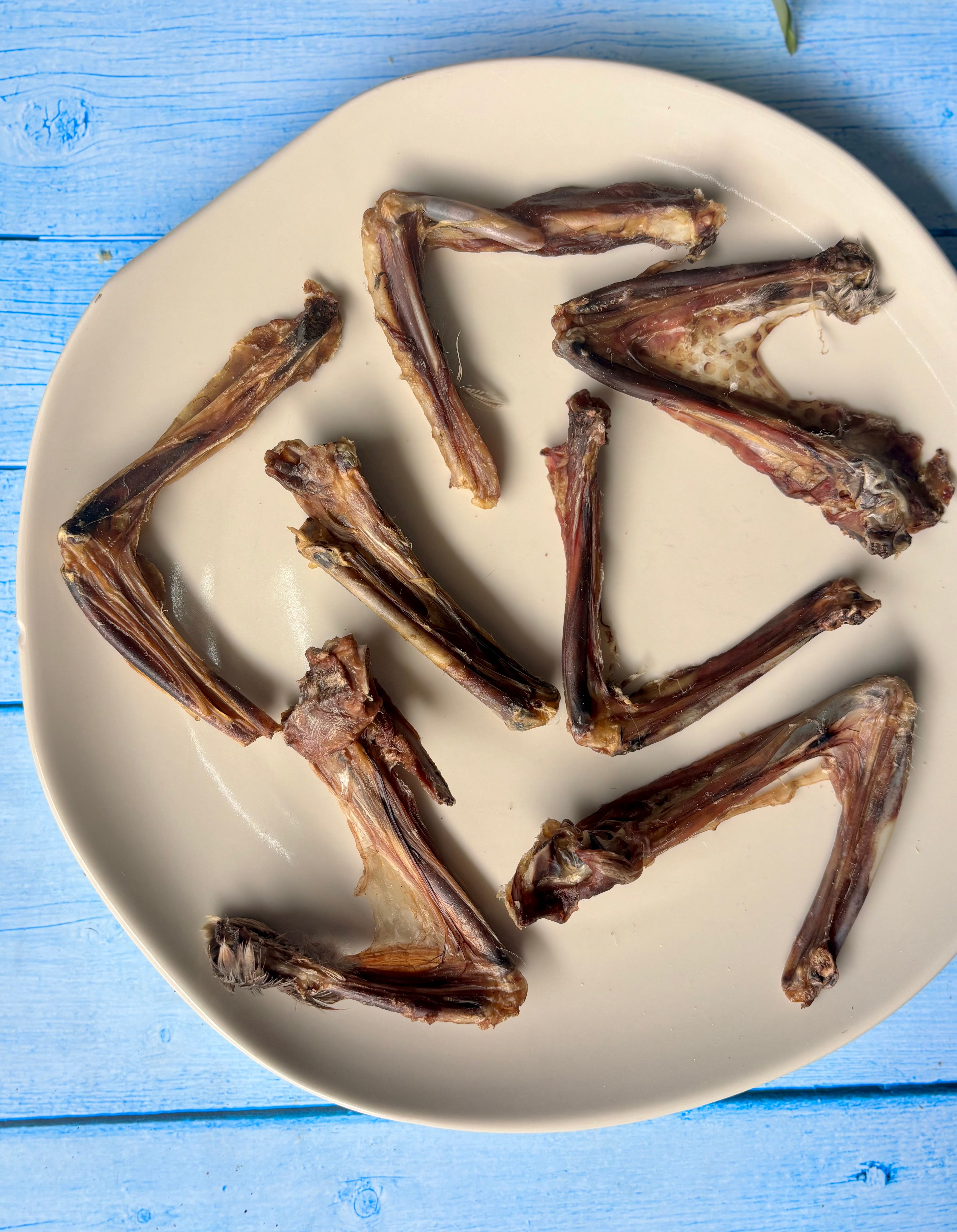 Duck Wings