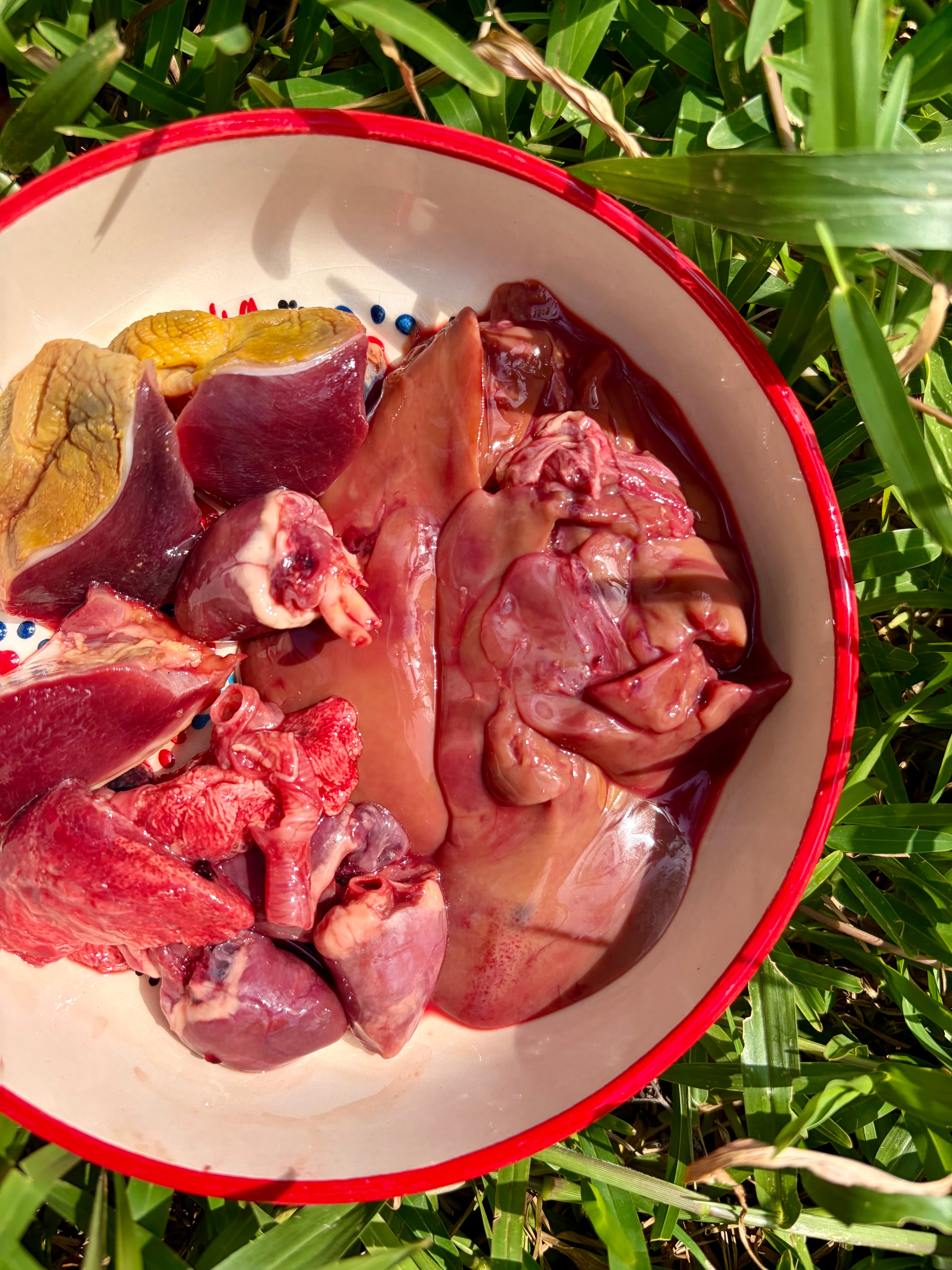 Duck Organs (Variety)