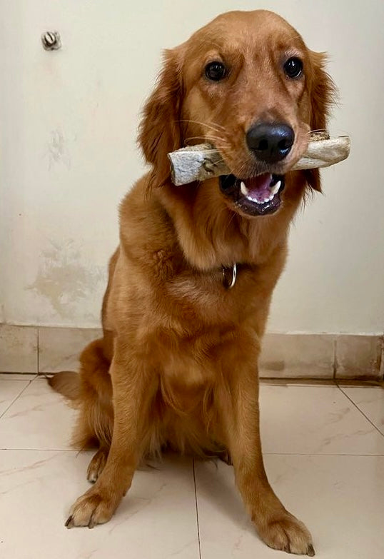 Real Hide - Sticks | 100% Skin