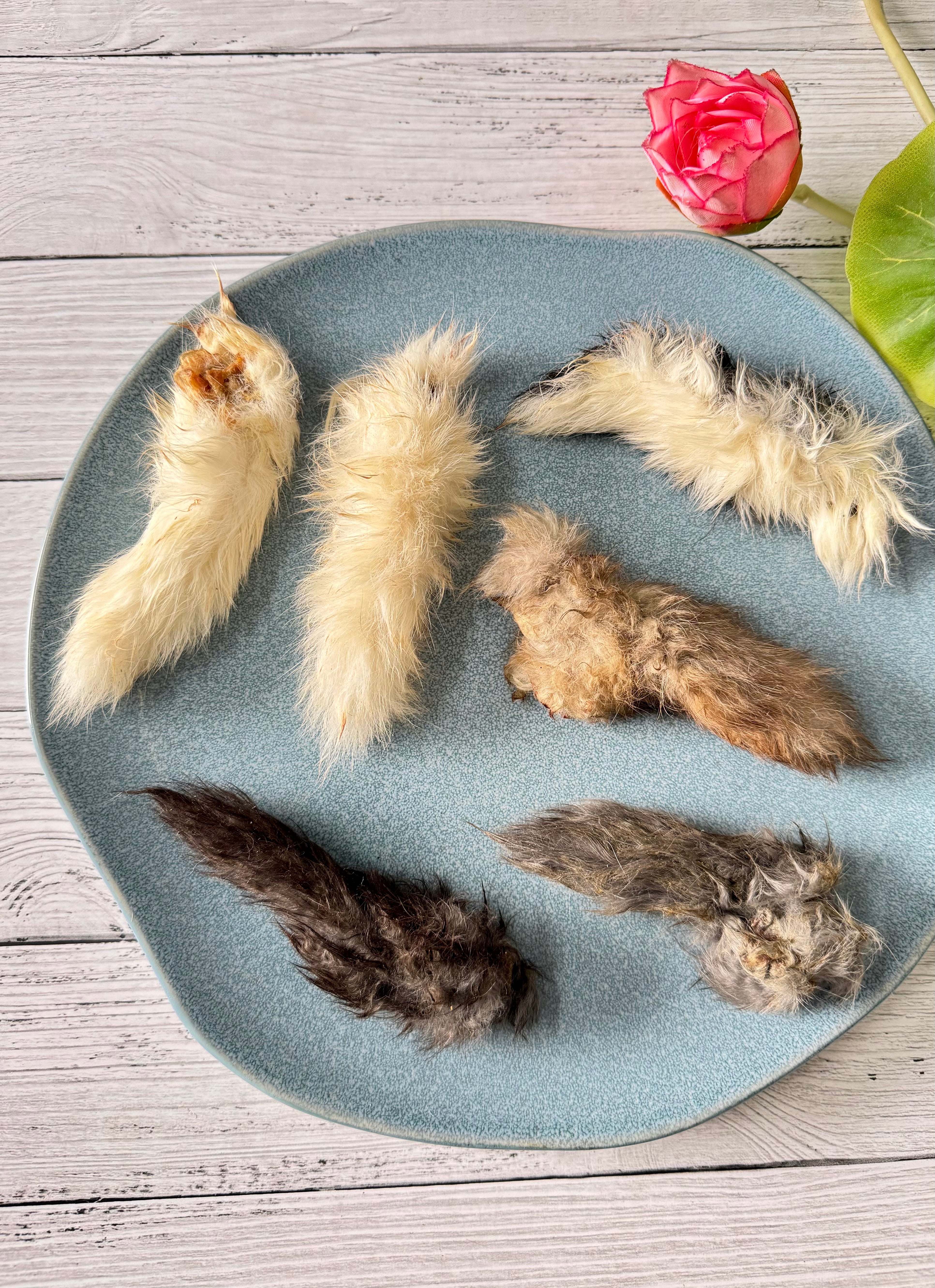 Rabbit Pinkies (Tails) - SPECIAL